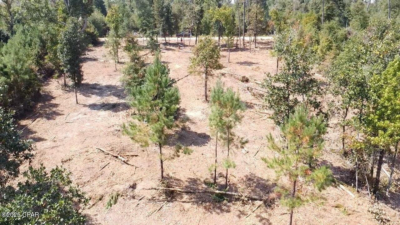 5df7qnyrako87a6x8poxz9xt4o Ctdqd2ex08djeoas