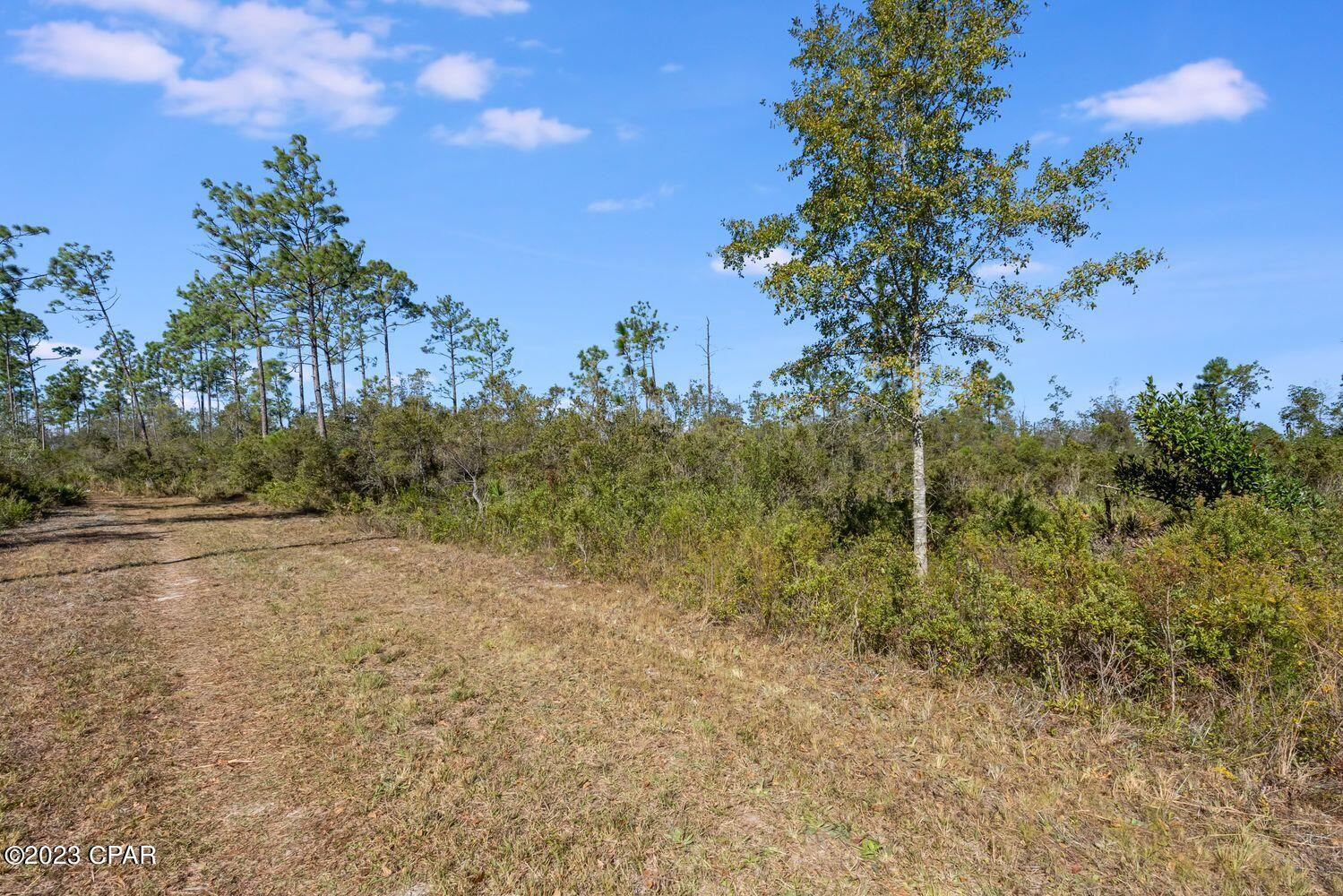 0uogjqcfaca7o0b4cbbxs8yzlatjtxbklv Gs Bo6y8