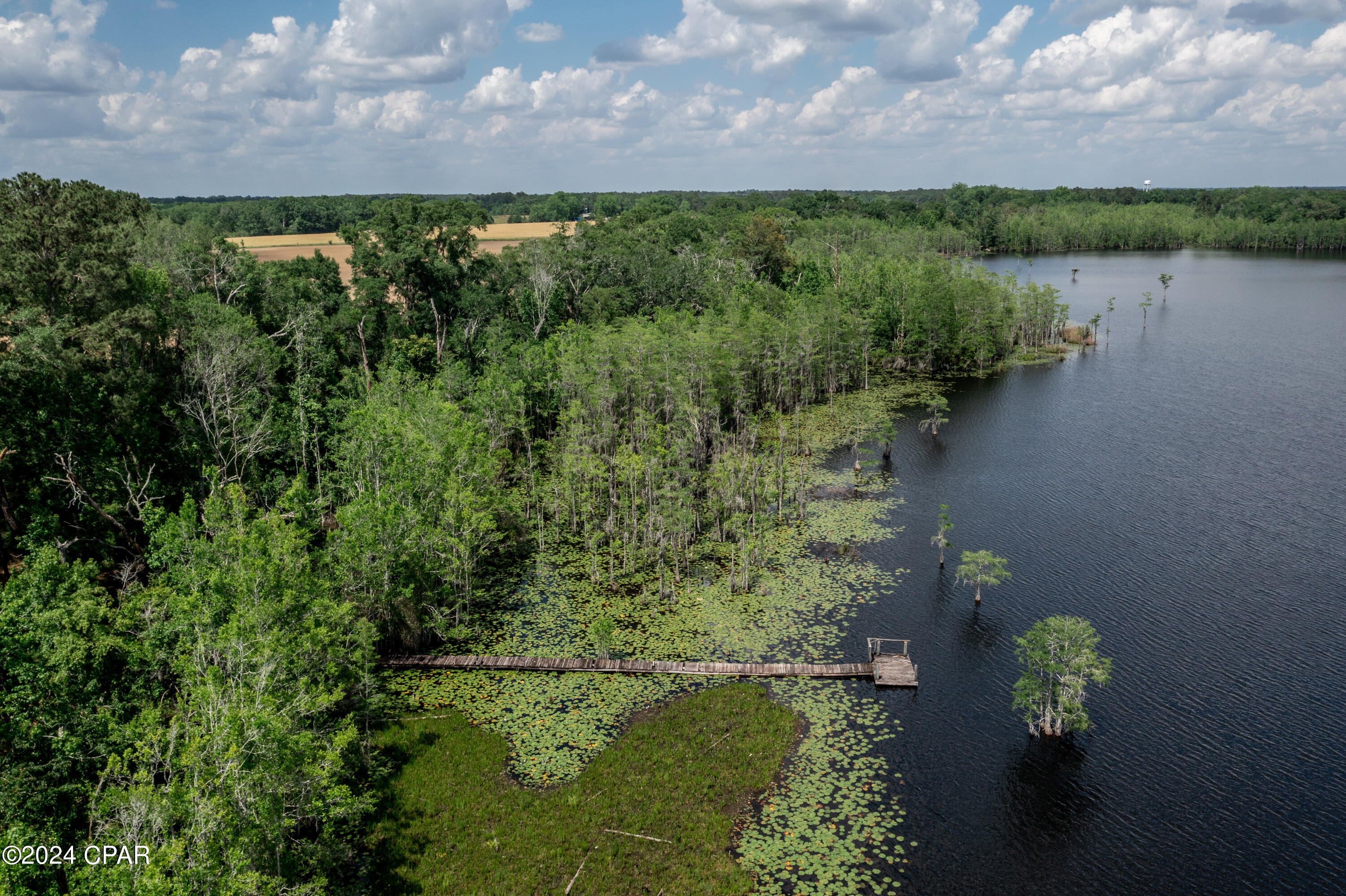 Yxk37yrmfatpgskdvovyimgx0nsscy4_r448myrudnc