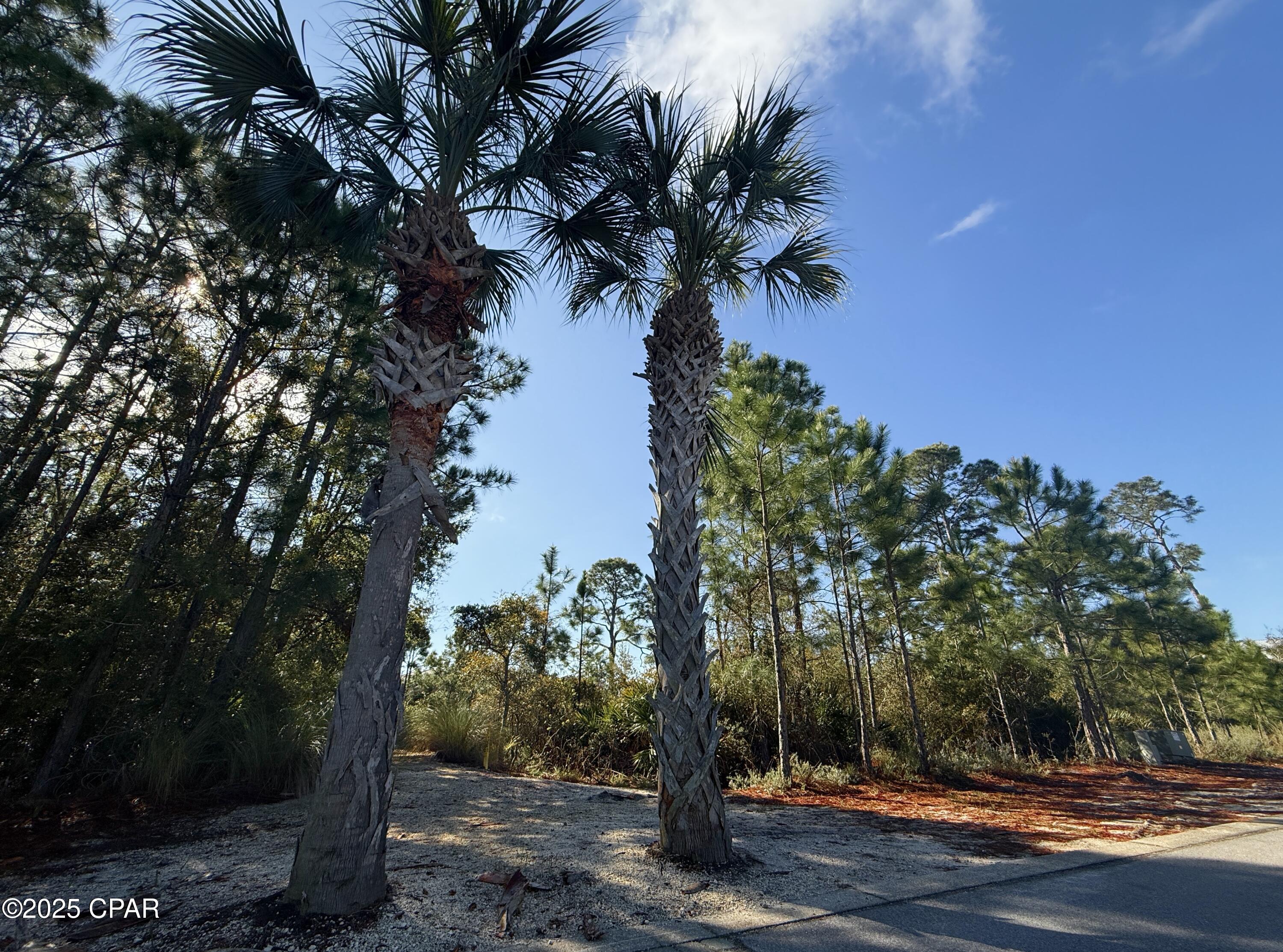 B5nmywwsyyka6eanbtyvcd1ypcp2bx5otsdifxicxmk