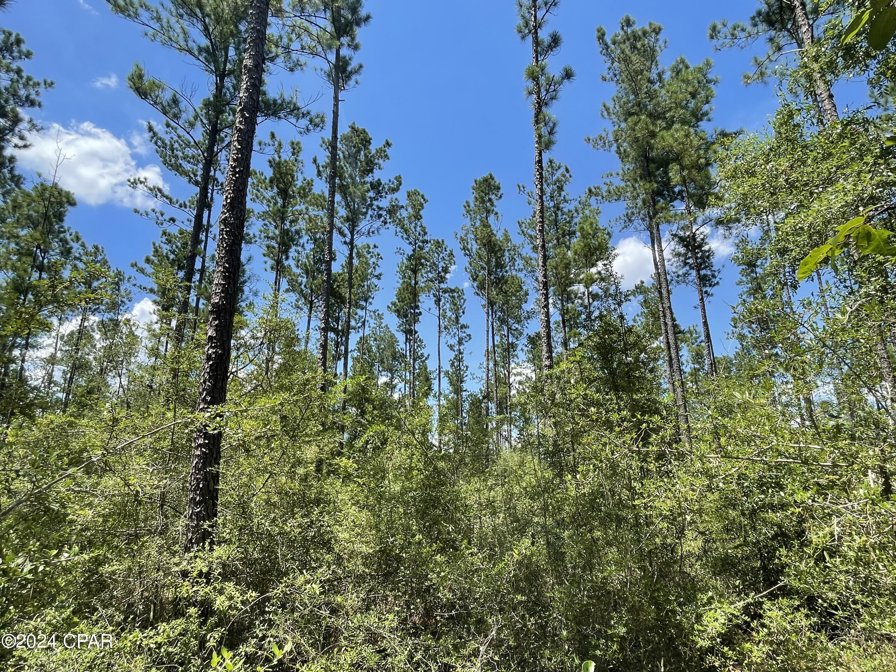 Tx9q1it0rqmsabacjxagmw8xsmyqza3xhsxtenwtvuy