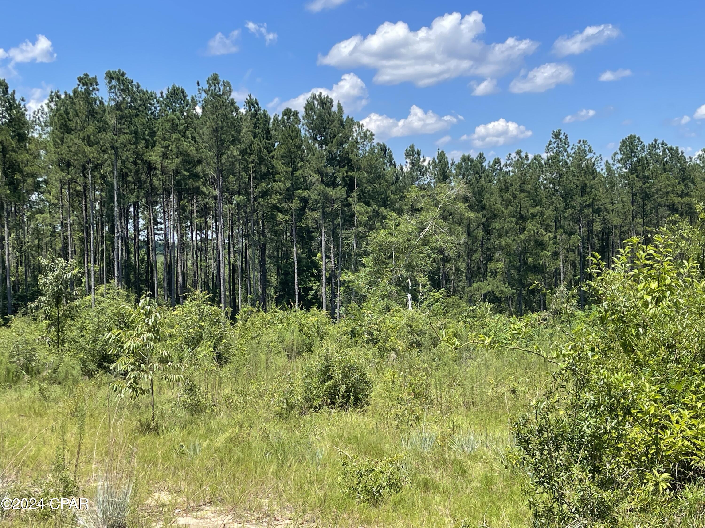 Qzmvlv61uyohqy0k0r5mdchartwxz2pvlvdw5amgzr4