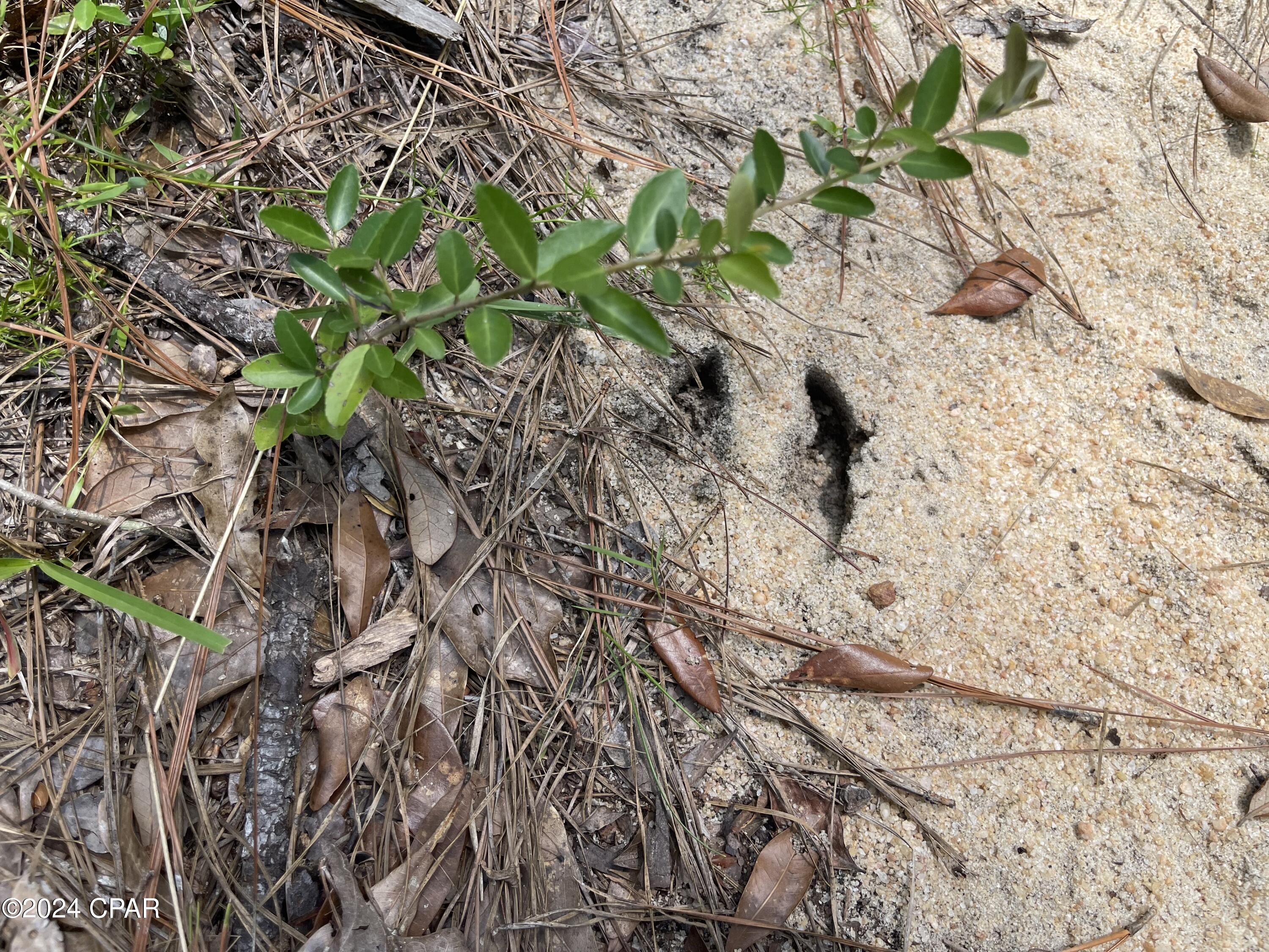 Hpwatbsz3ccuxrit_epvw6fxveltqssfn0w Bzaegrs