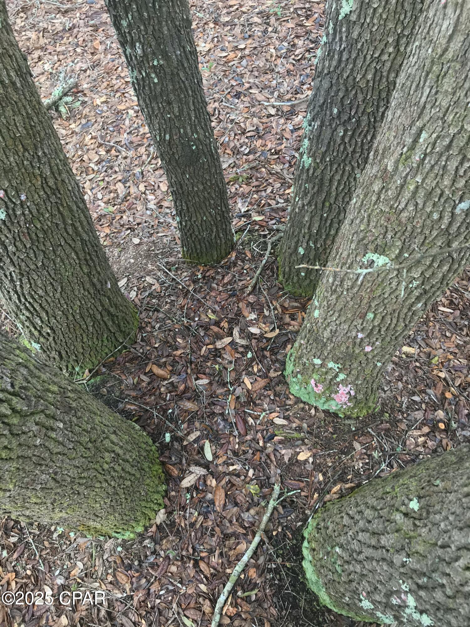 Qrahz1wcruij83tfdaifdvinxn79brjfzqgzwp509nc