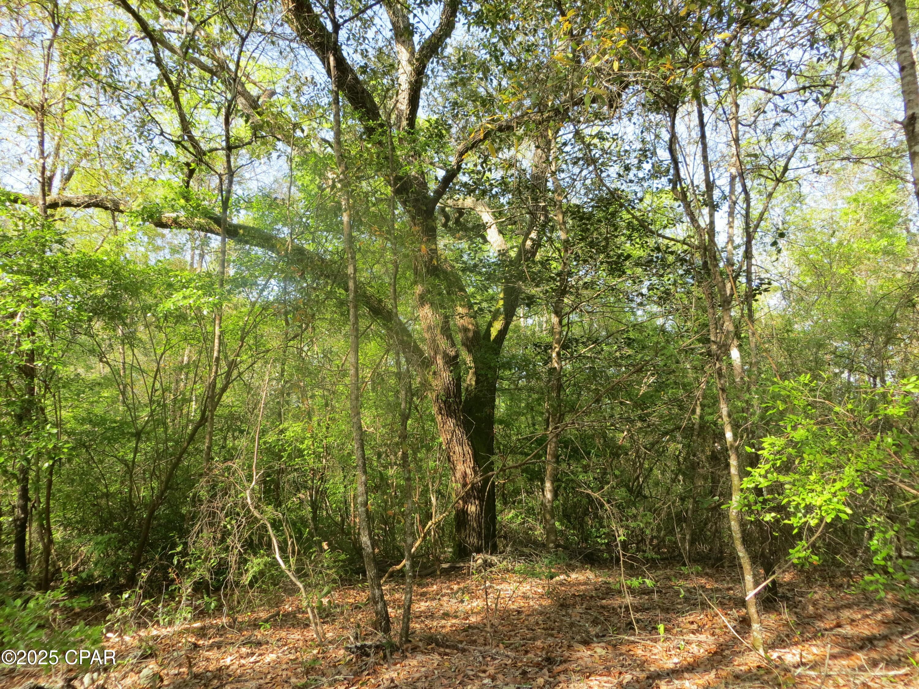  Ukjss91 Qvh6joebjfg0thgn6ievp70udmugd 8h1a