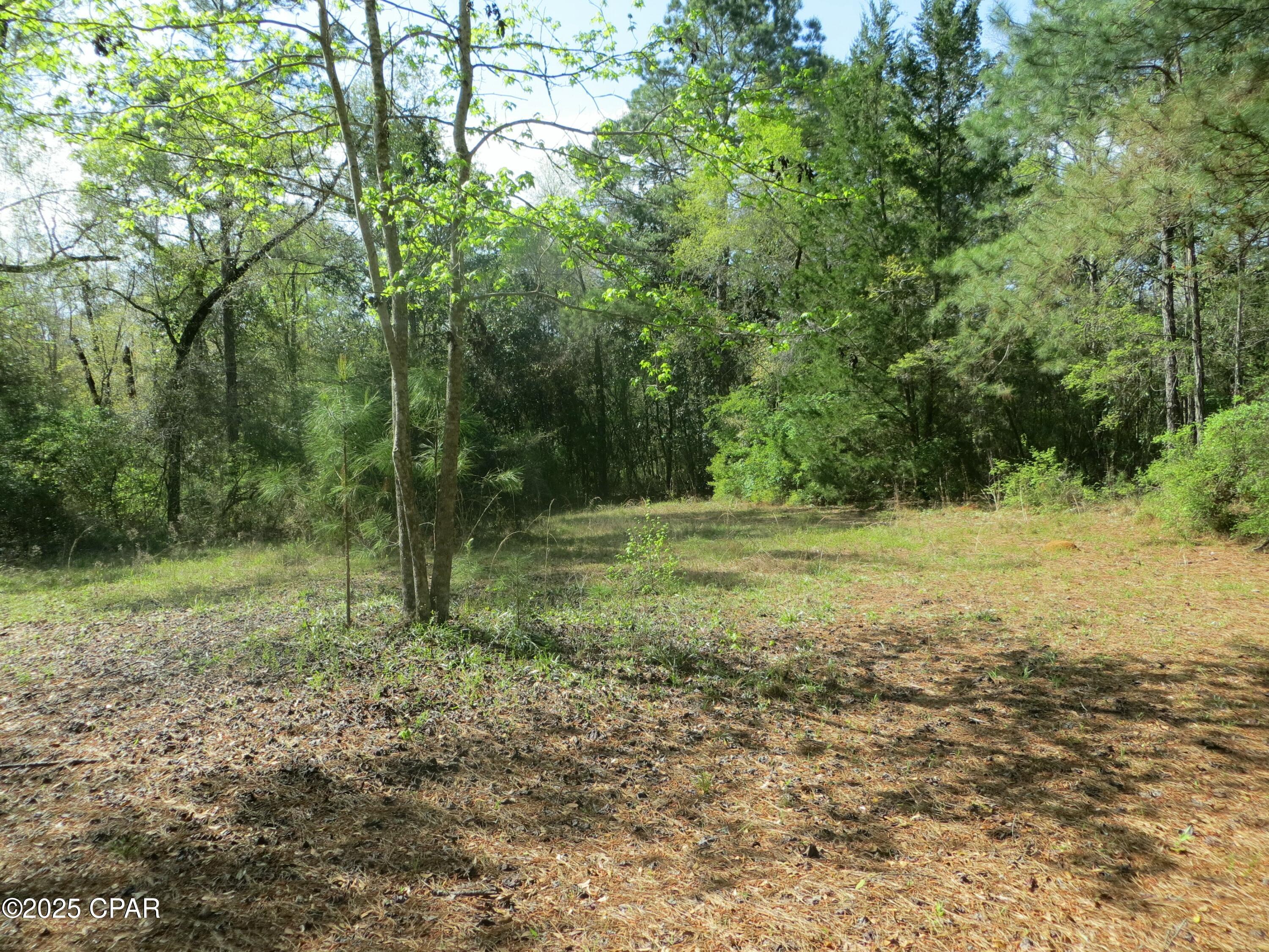  Kcr_258qumskzqjddfjkki Jtn2lbsevwozj5csrzc