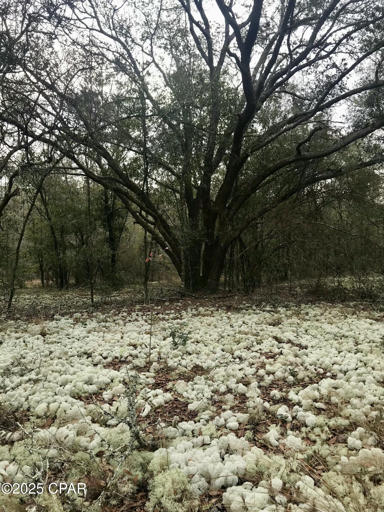 8wizawy5tr9ffjgbn2xc_mqajmcxpnwkcevxrq7yav0