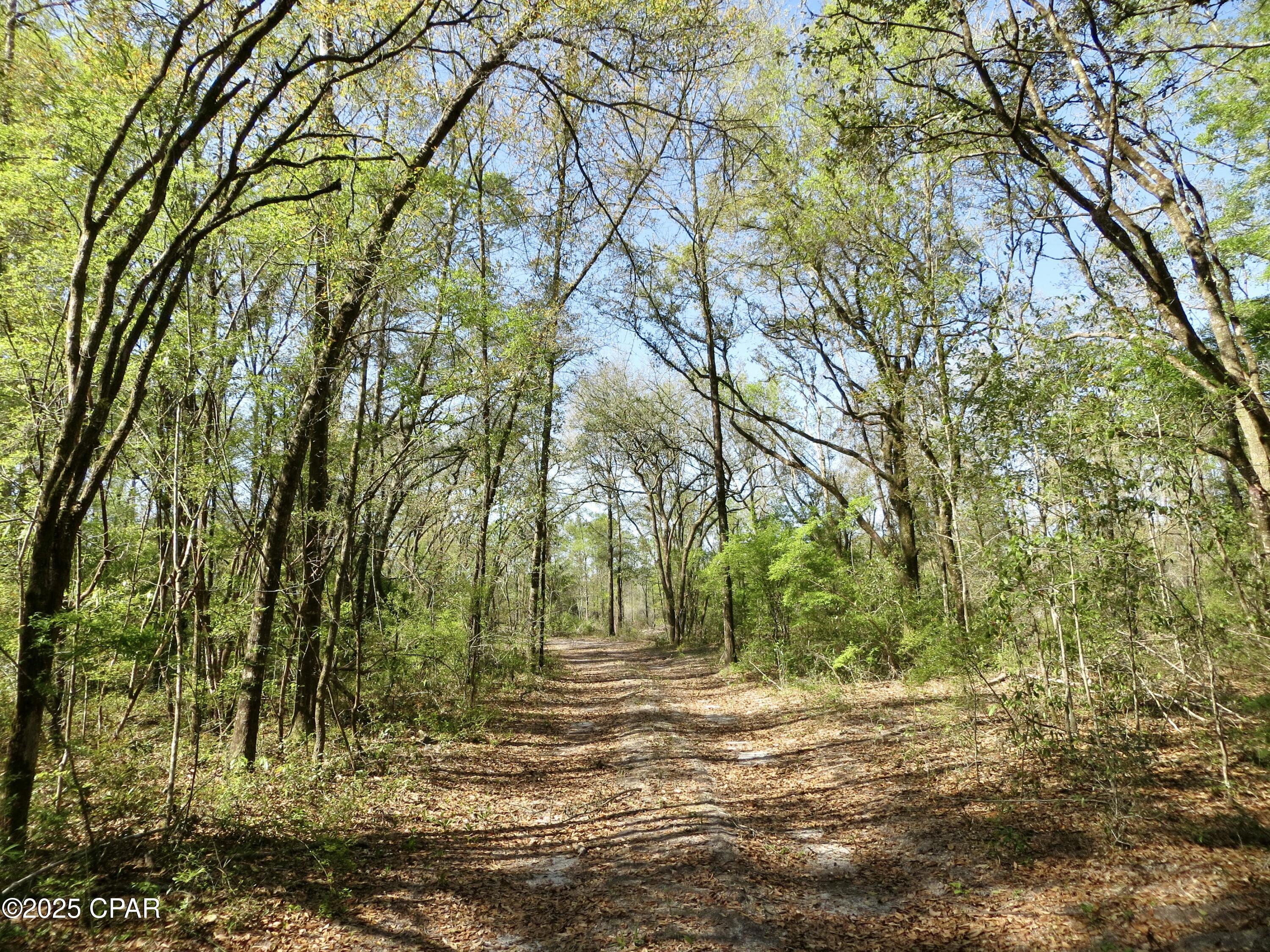 Wlh9dfo3tdzigkhwgmj6zldx1aog0i5on6tpl2oojtq