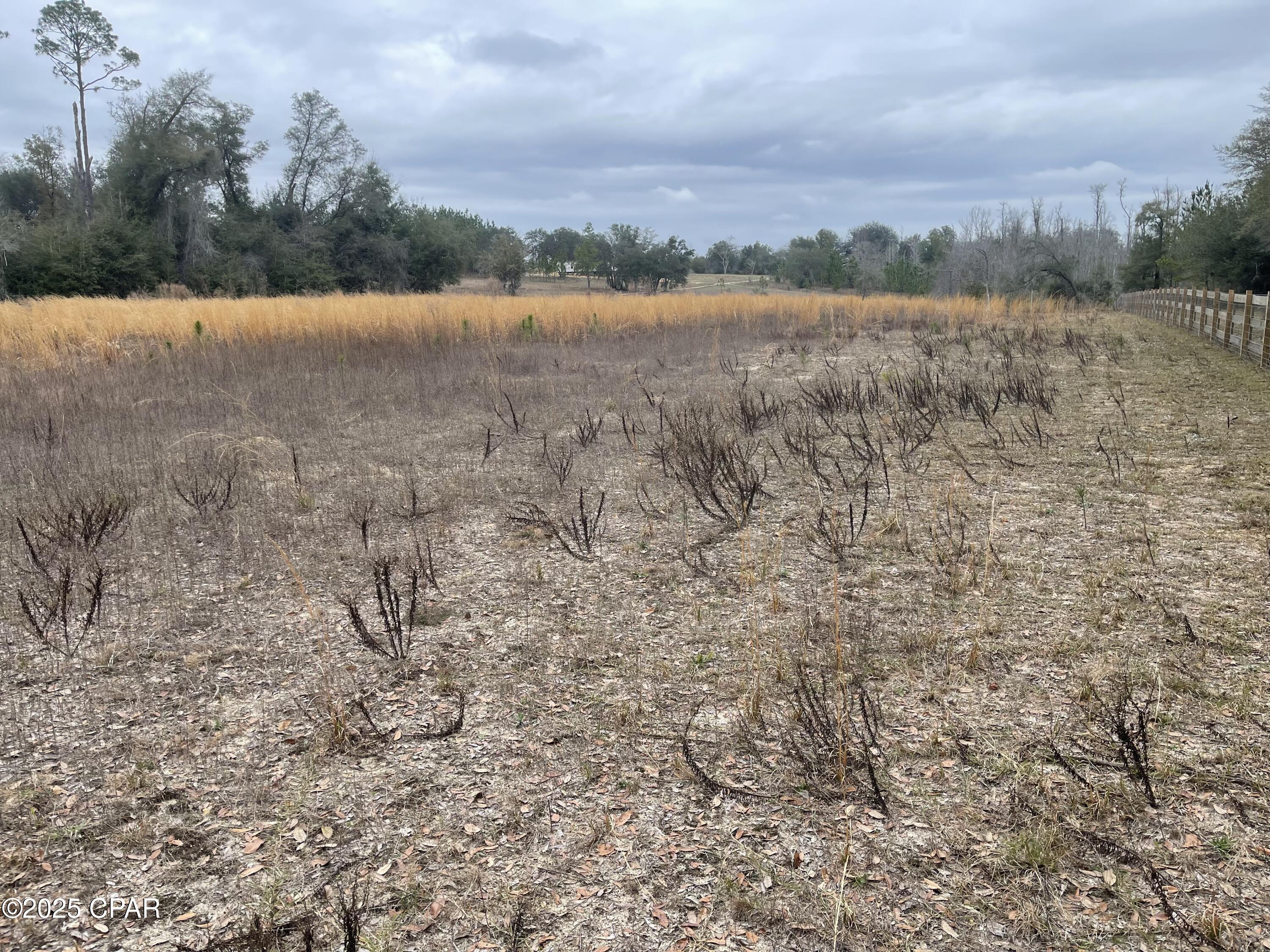 2iyheta G4a5db91jexu7chz Fvd9uy9radaccob5ca