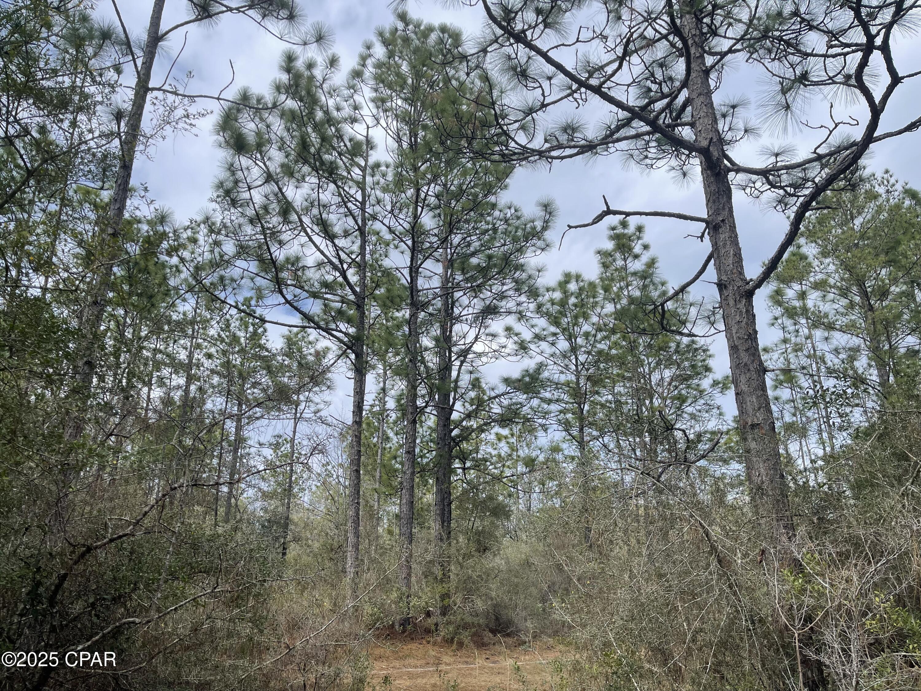 Xrpah2 Lonzzfqyuef_yvvigz6xiywfao8qhptoo8qu