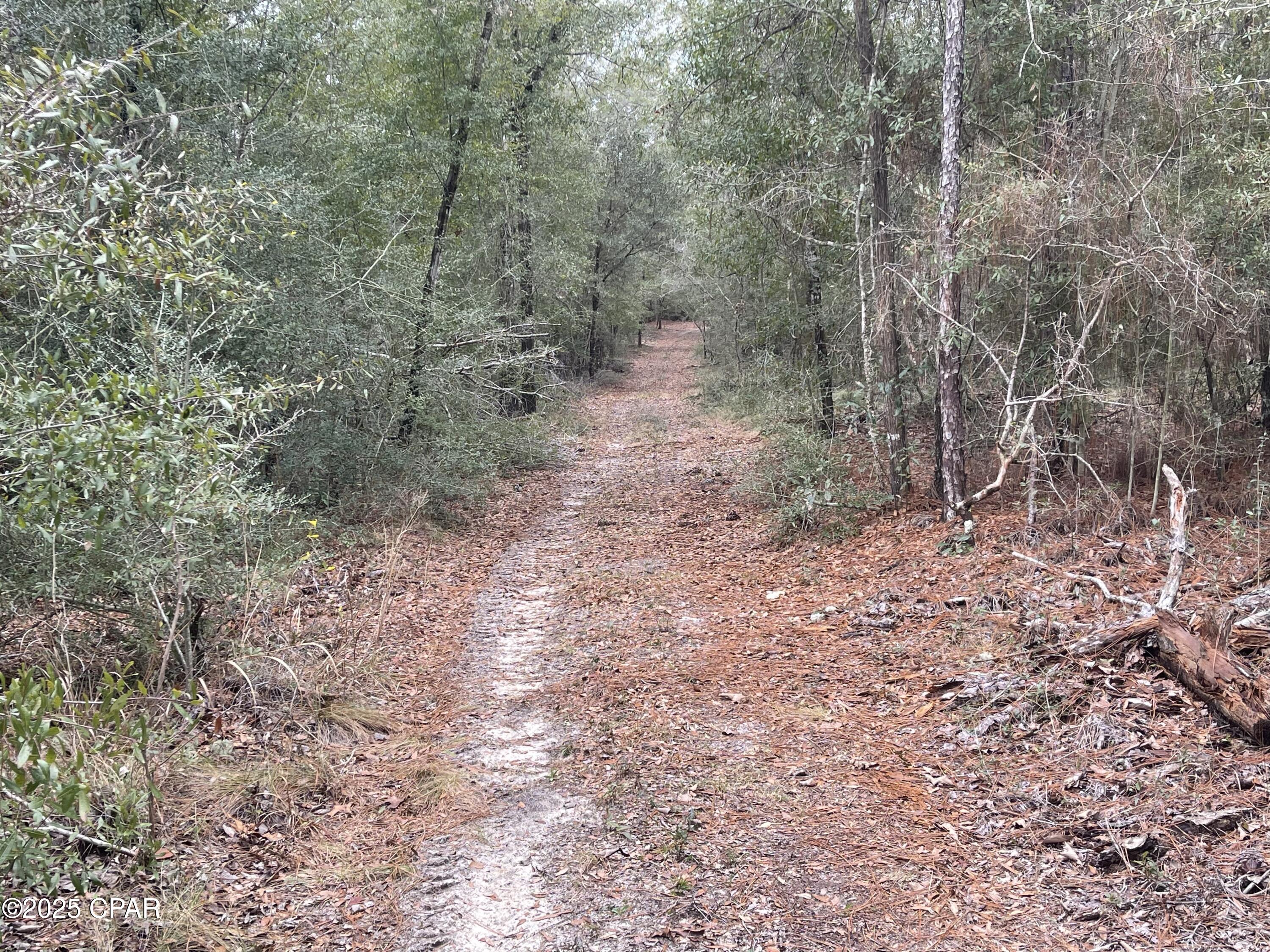 Tn5_evtewzd3tmostx1xgbcbsse60d Xiv05hupc_2m