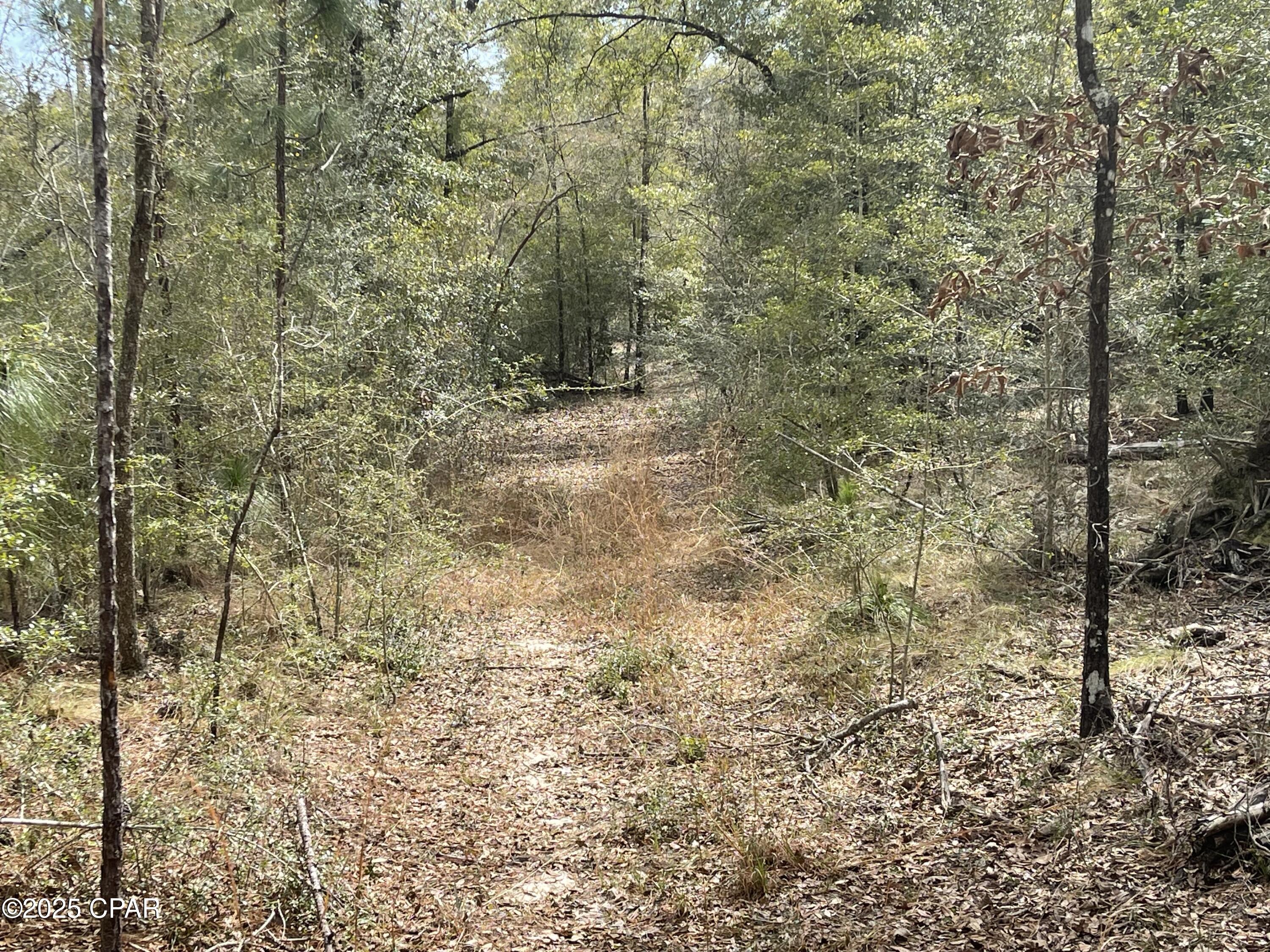 R0atzexp48mck89p7oewtmmjcycr_h1mao10c6vhqc8