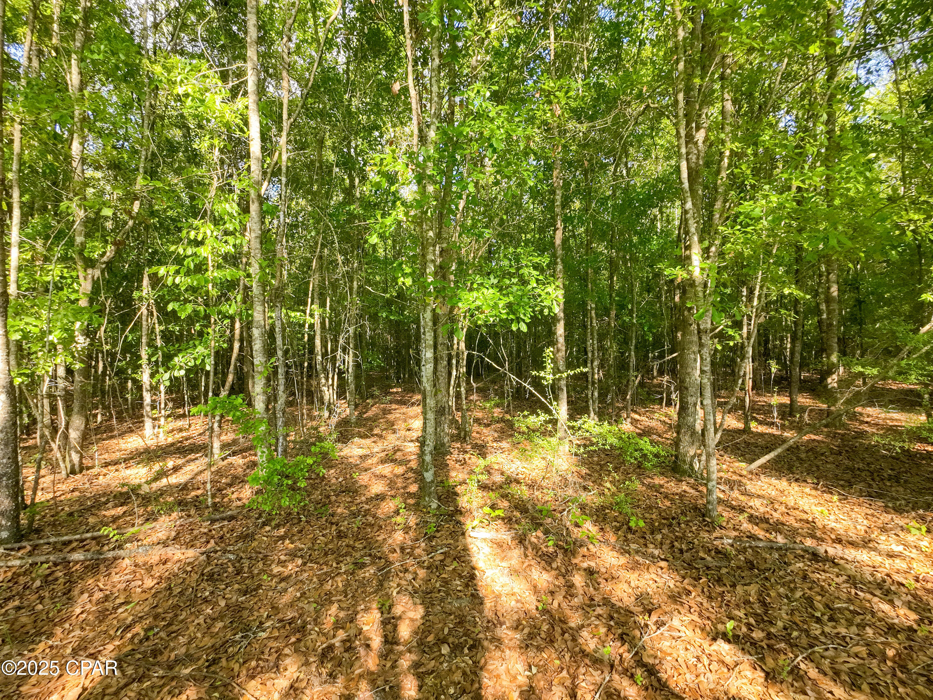 Crxxaikvrdrnwbro52qygsvmexhsghxnbvklcdaw2di