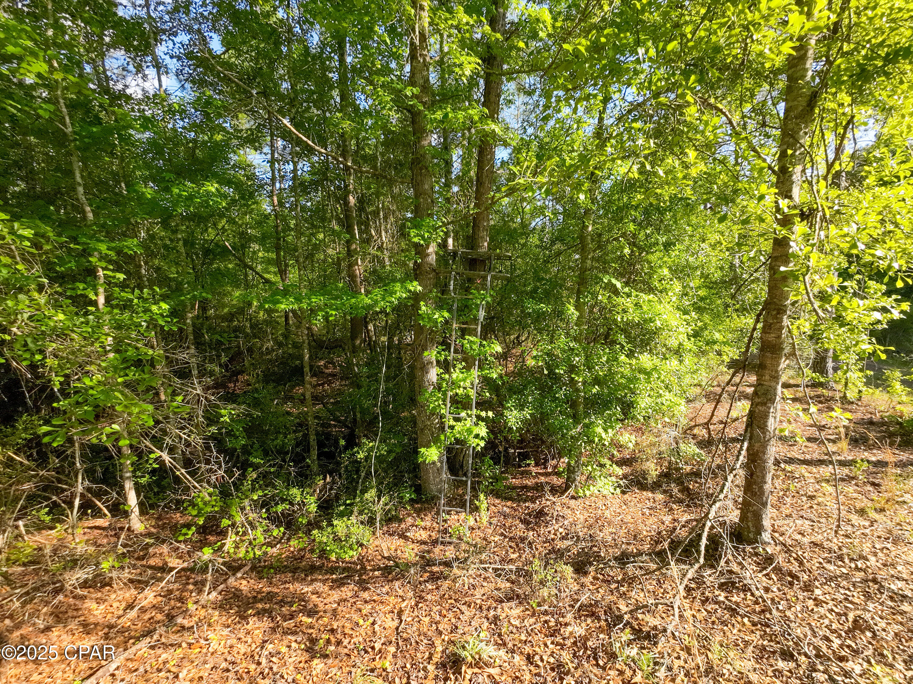 Ncsd1qtx0tvdvsc04unym4tm1dyqndhus5sq8dy8uy8