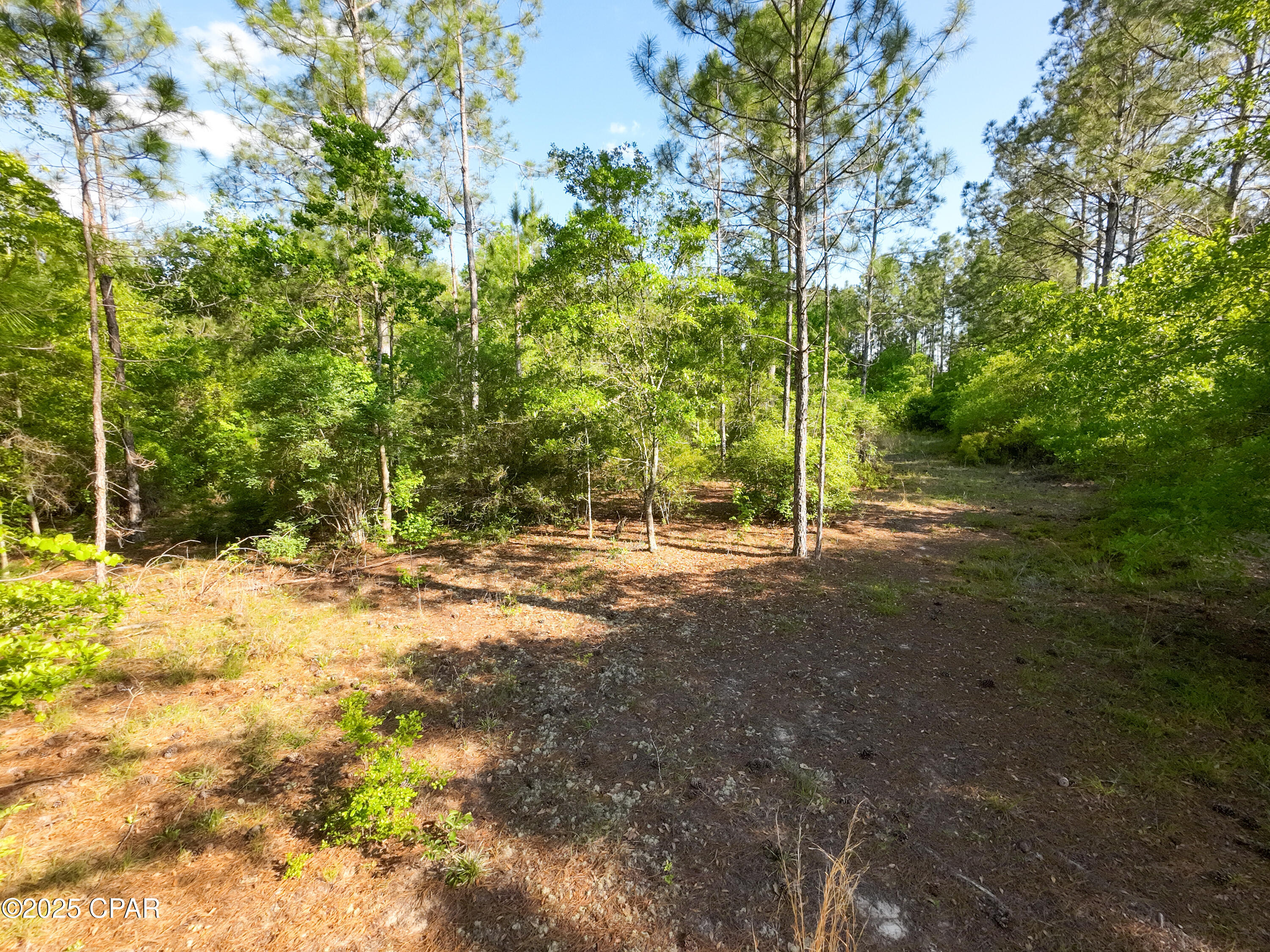 Lqhmu8qch6lrw2veaincewhspssfbb78lbexmrar_my