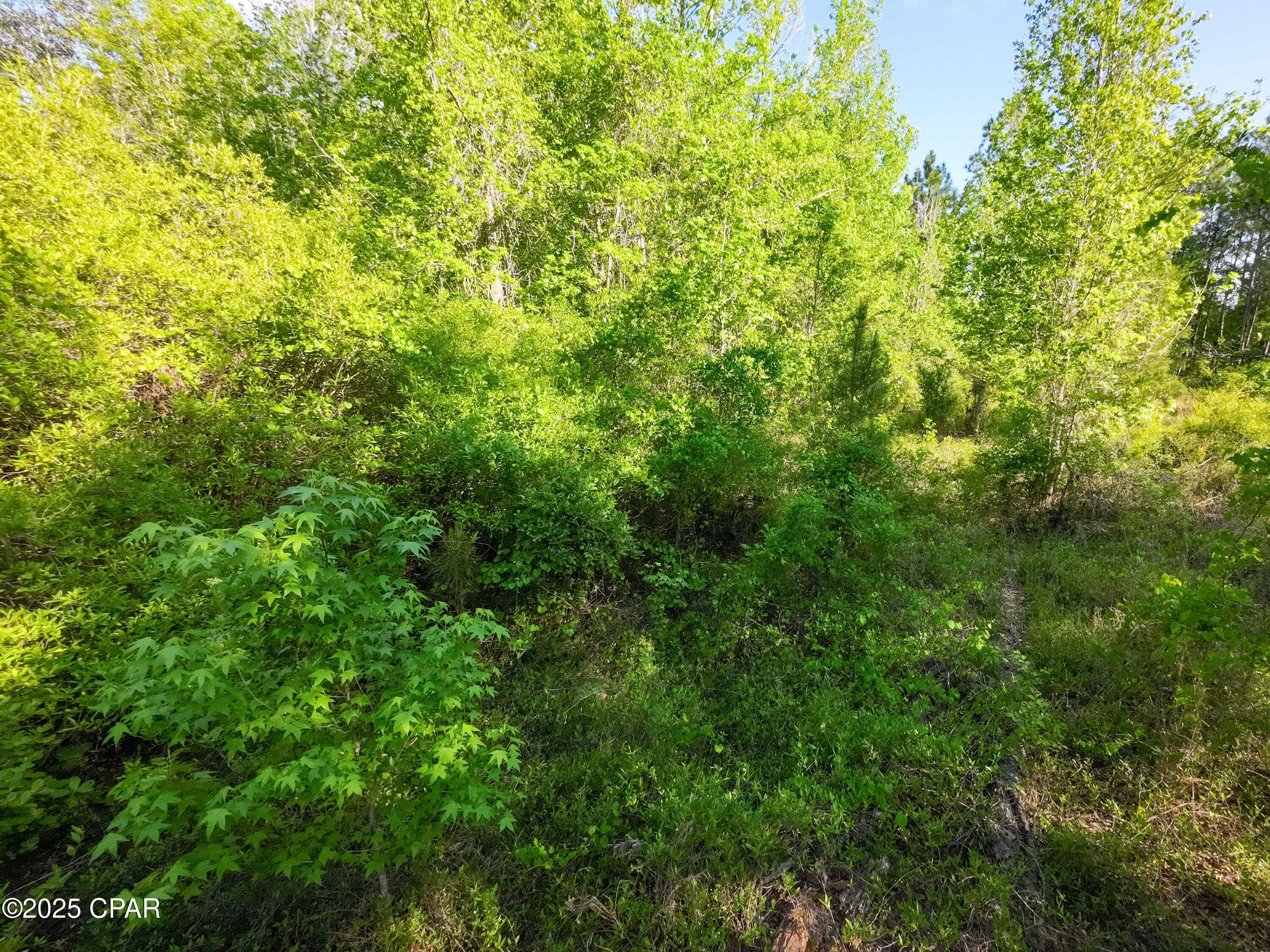 Dnmcqem1fn2sc5qodvbrctnamj177koxnsgwyaqdrp0