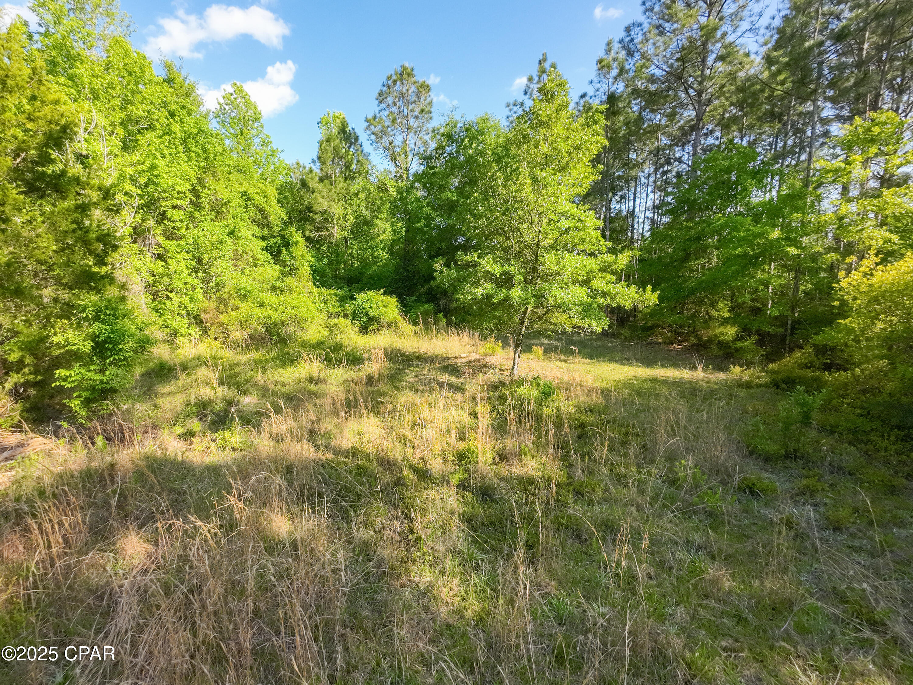 Atfwlbj6gg_1jemcyf8ep_glsr0yugm0wmdtqbbgw1q