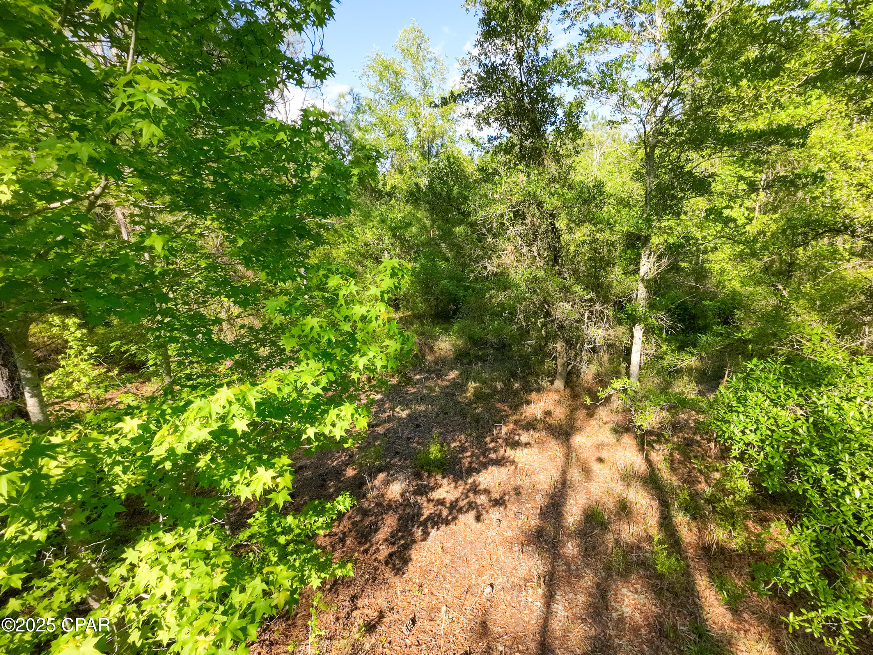 Bamtf8adb34d_iwj3behylubst0 Yieceefn4wmnvgk