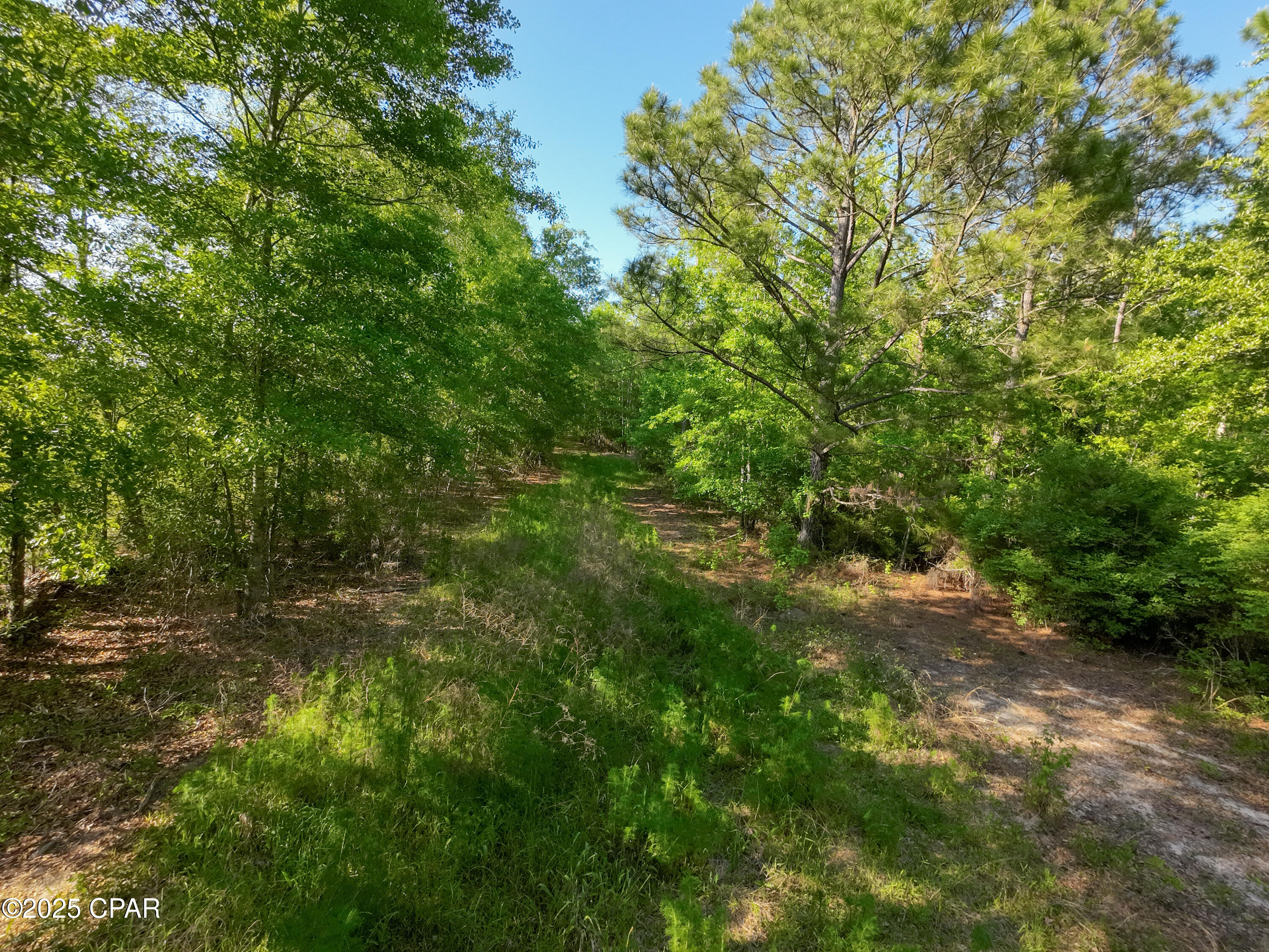 Satmgdzti4ie7j Z5eon5bd2bondcg4wmavggzdyxzc