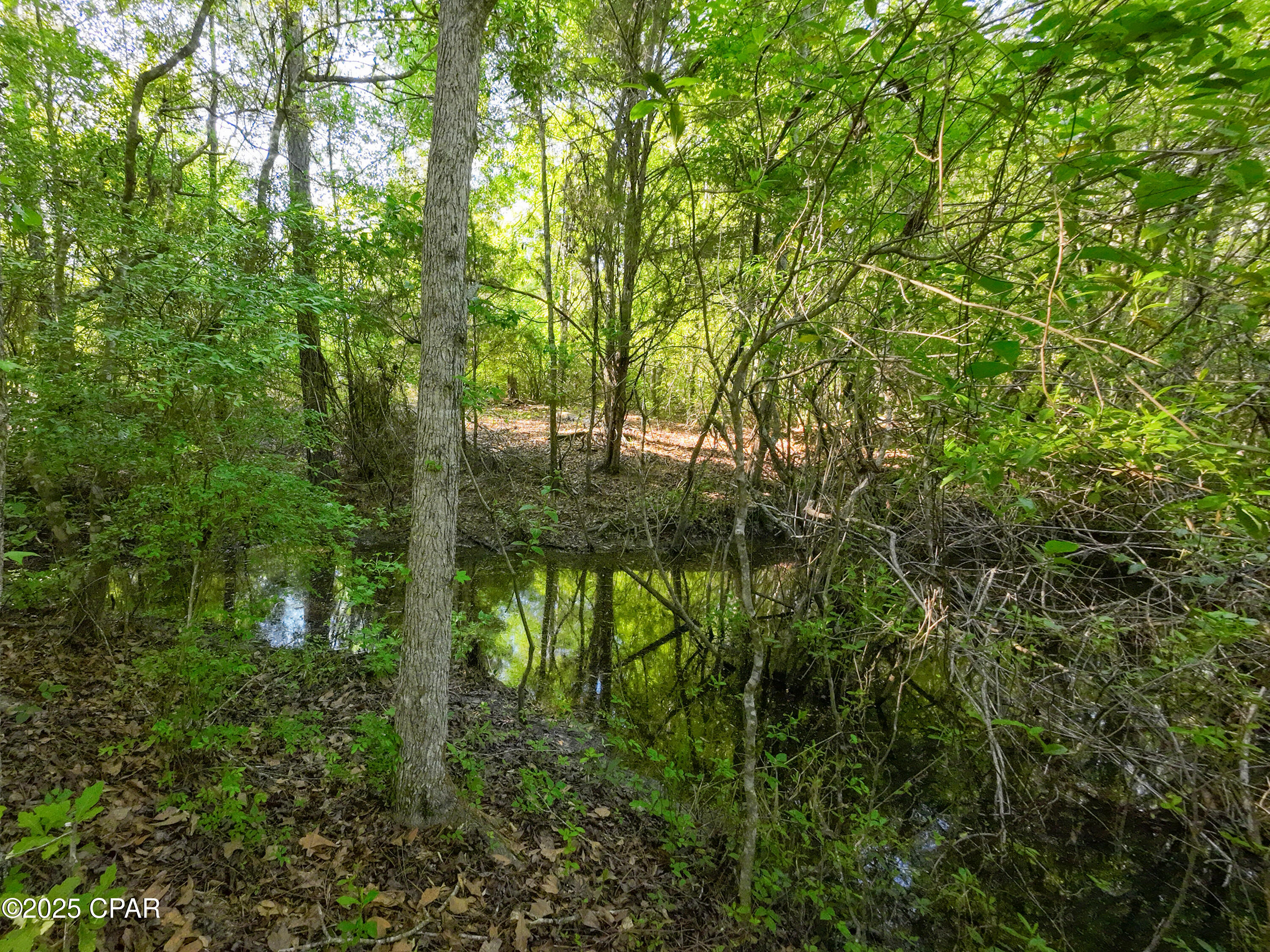 Lunkysjbkhvp0 T8dtd5_zlajzxaiygwrkscpwe4s0q