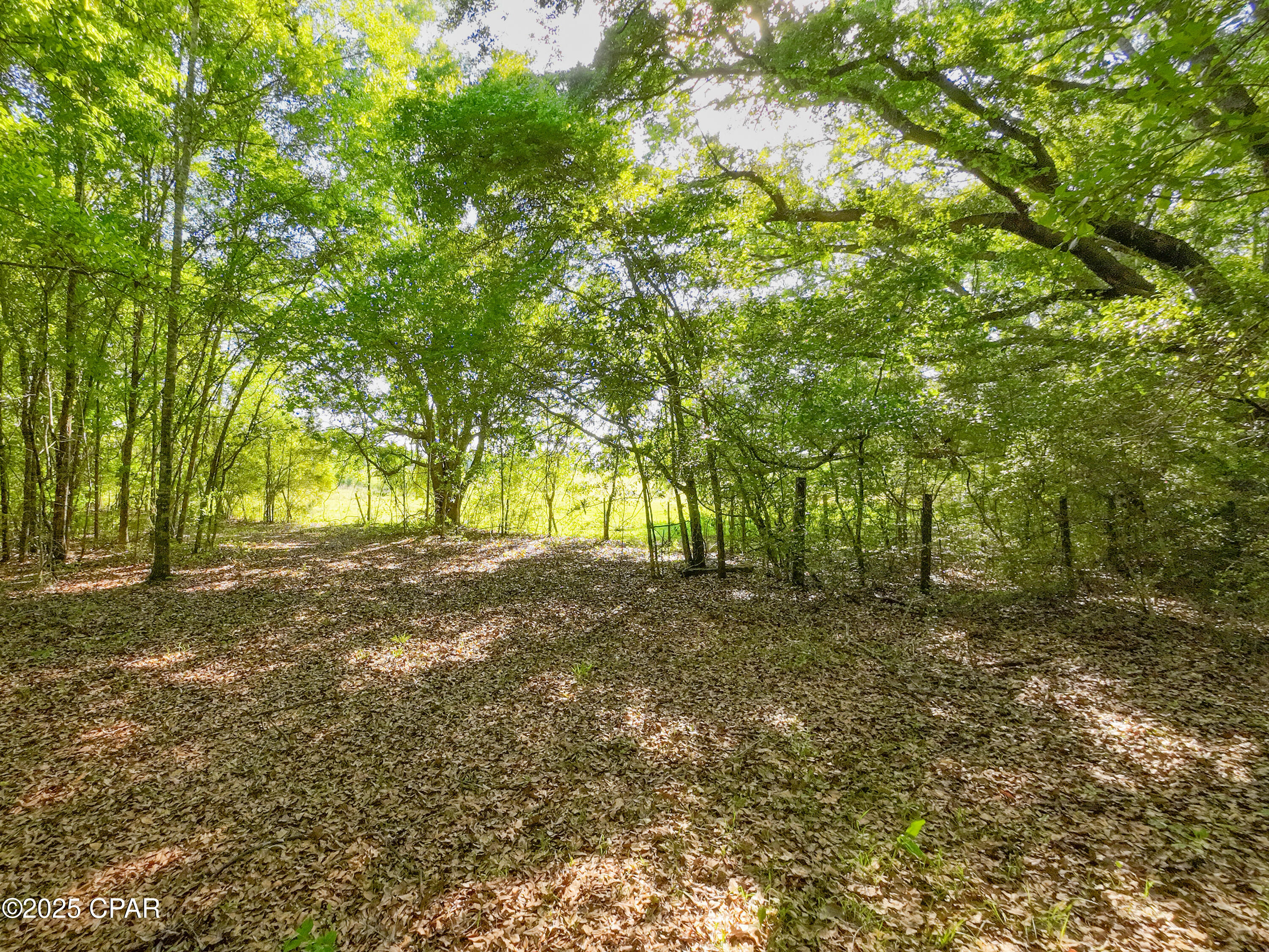 Hcetnxbzkrgvocp1ojhwl808h6ckjx25ivr619avvp0