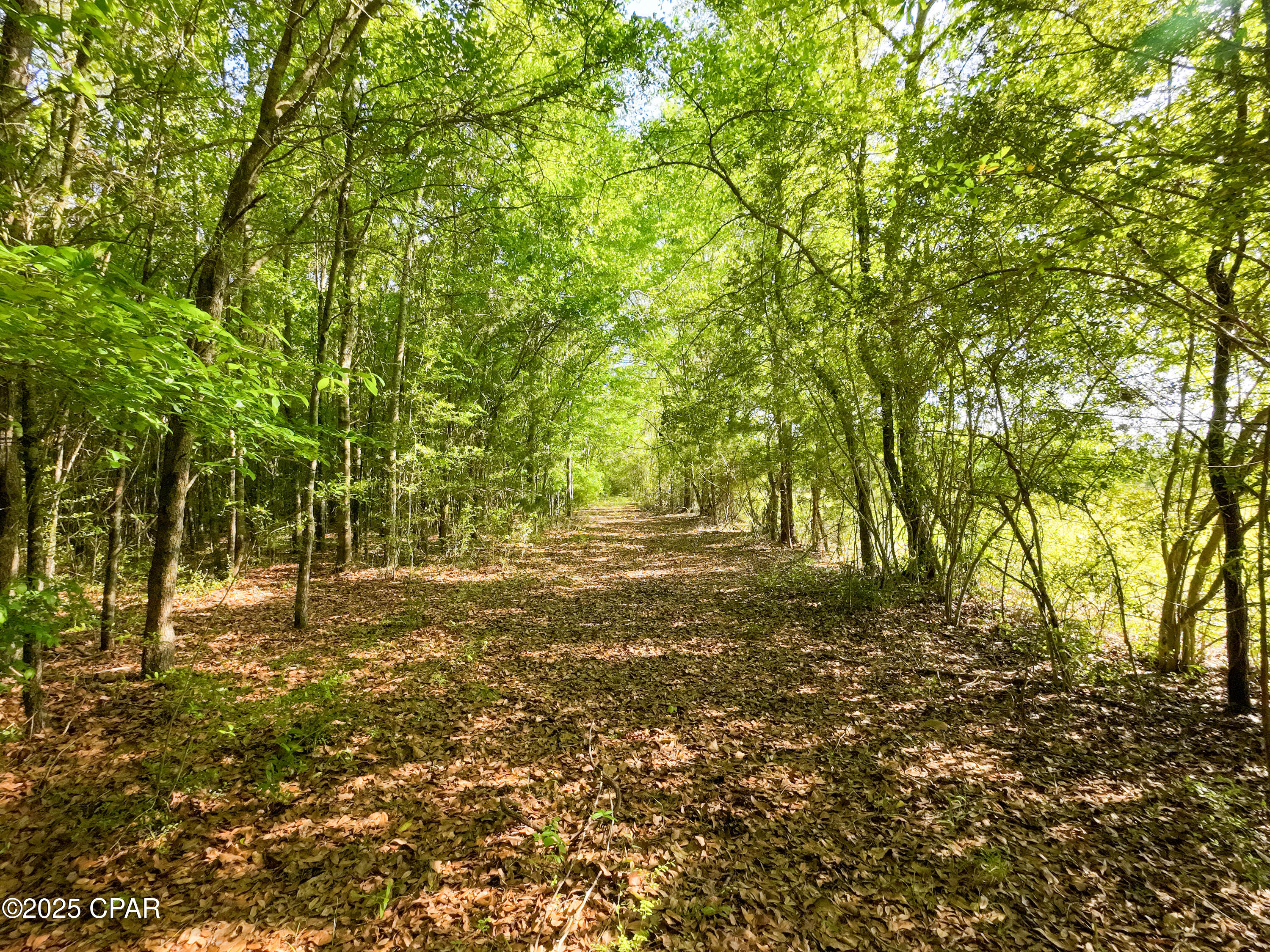 Xtpug3o1kxrgljsabij5w44cbttuypzia6jcbgunf1c