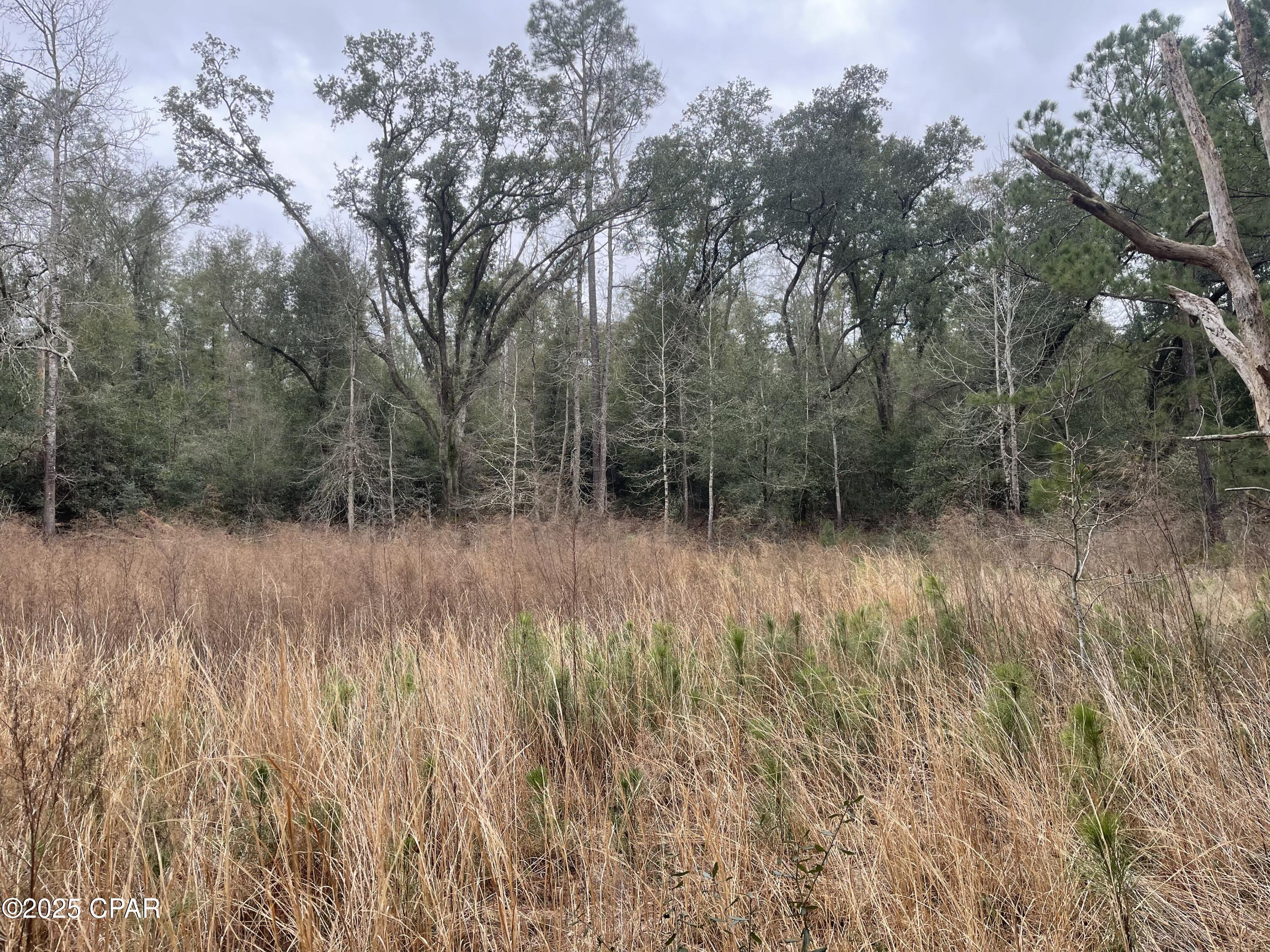 Wmwgrwvava_cnpxtcbvkbcyglzn1udfgnqf_dyos594