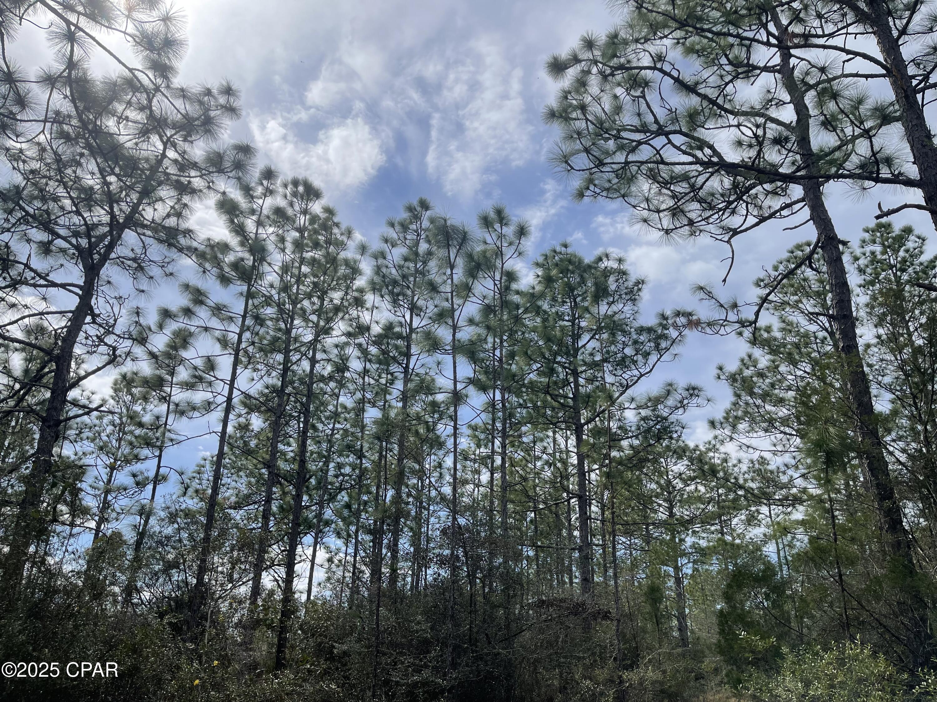 Njea1eu5rpuuzbsiucojfduhsm0w6jvebekw7evdww4