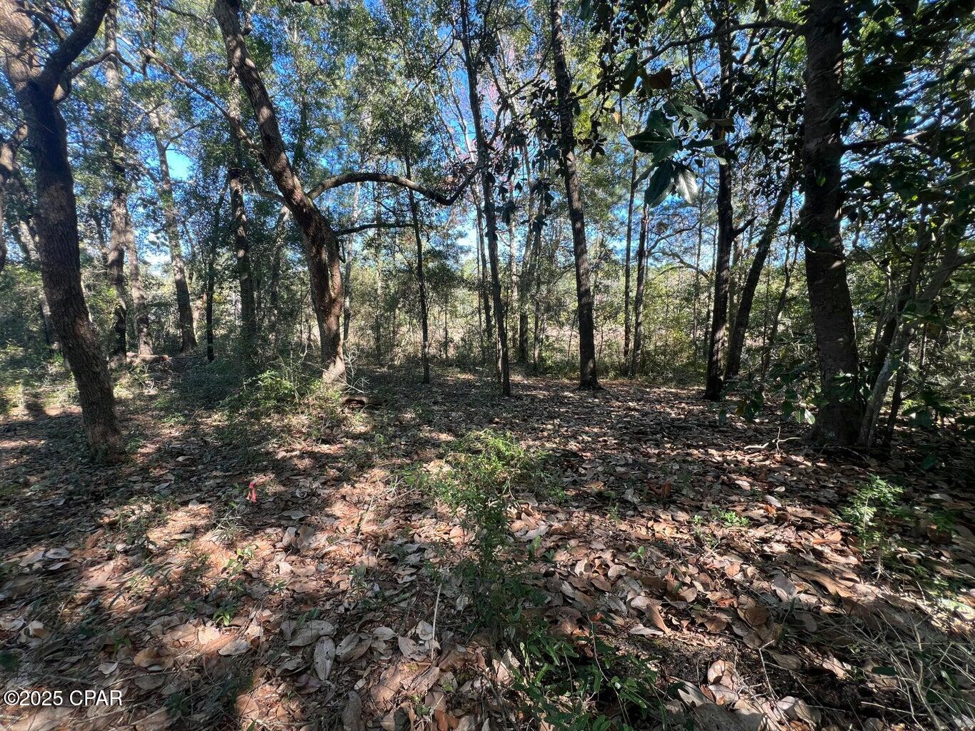 Bpvb7ys_wifcy2snkdngpxg4jsuapgpxwgevvrhjhpk