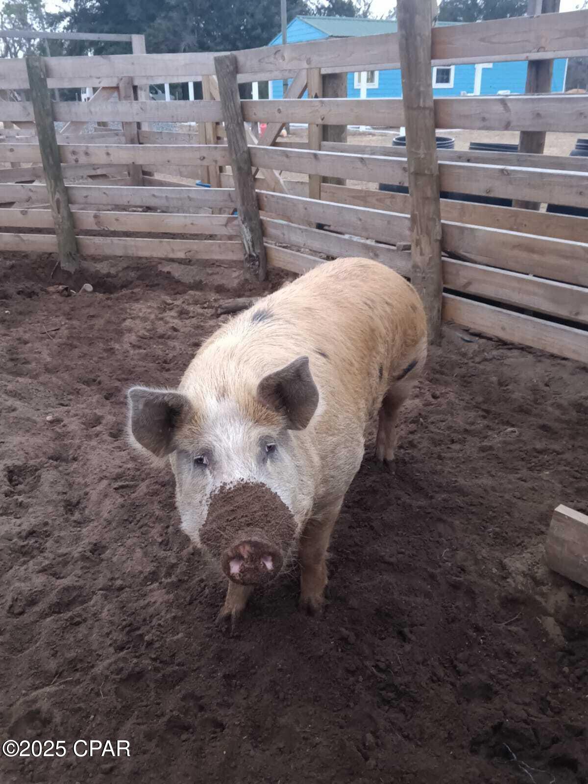 1vk5znicry7jiv95v9qeoftw5cwxvk37ovo5otww3c8