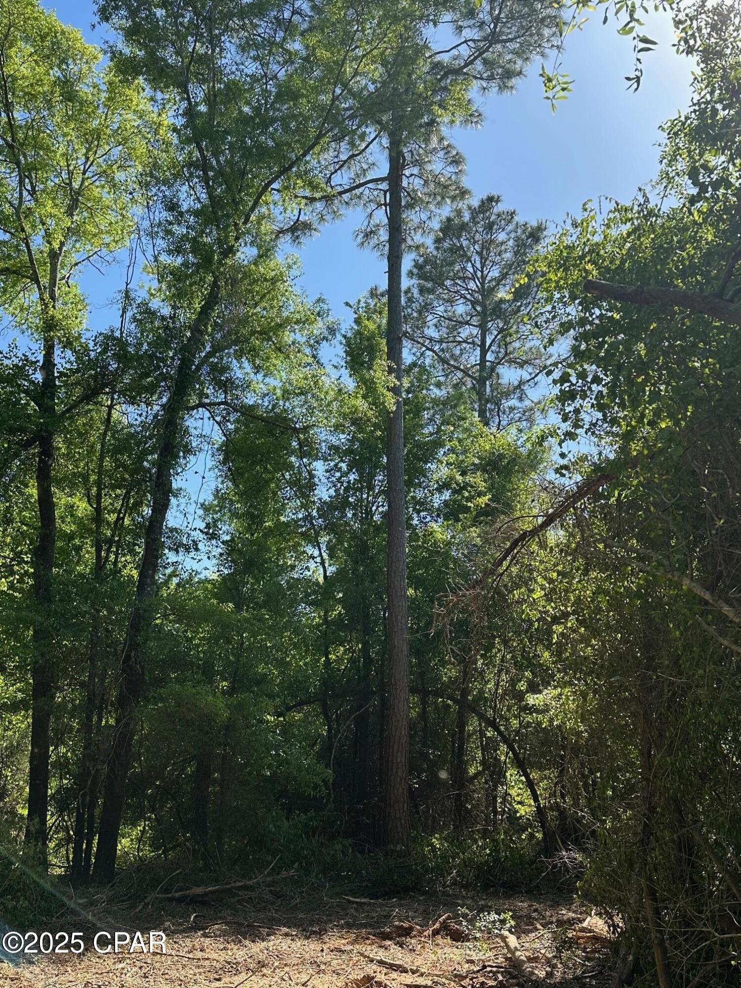  5xxbndflgi4iwxrxd6tqmzuxxljrlbctv_p7jdch3u