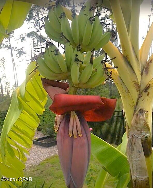 Image 2 For 1012 Breeze Court