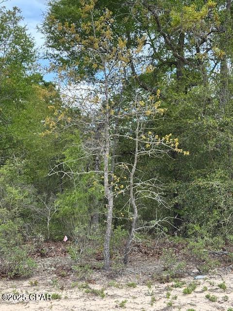 91eqn_0yk1tt4n9jzew7i7chvguzarxyz8t5fhc3udo