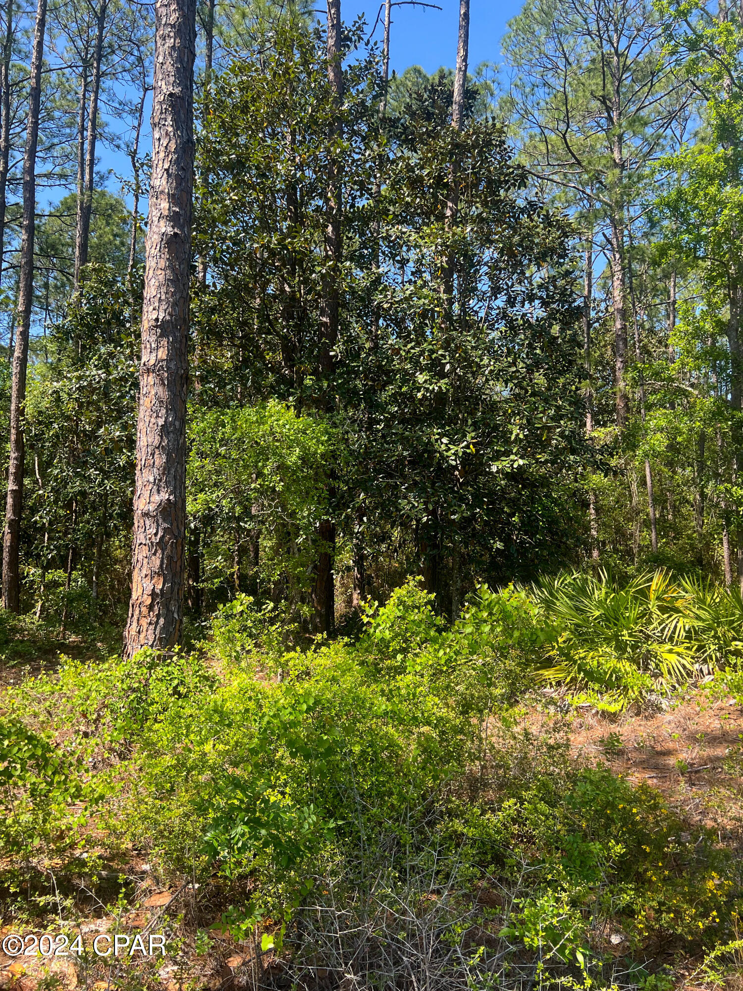 0wxv1qokdkuwi1i5eitrwfvsvtyyqzgwlc0mbe49xdy