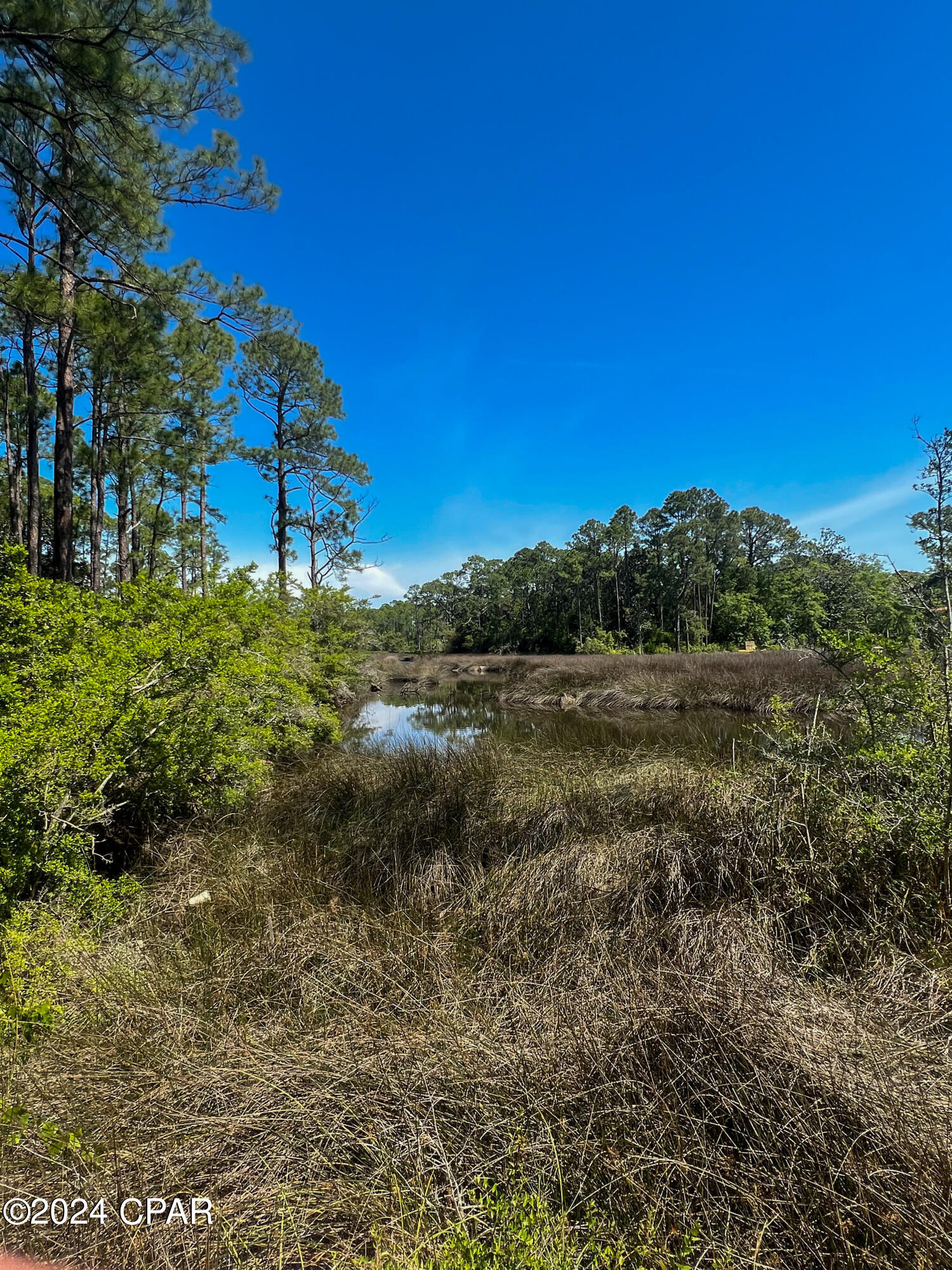 50ltnabi_far1jmloomerqm8irde_e2sabxlyvn4zlq