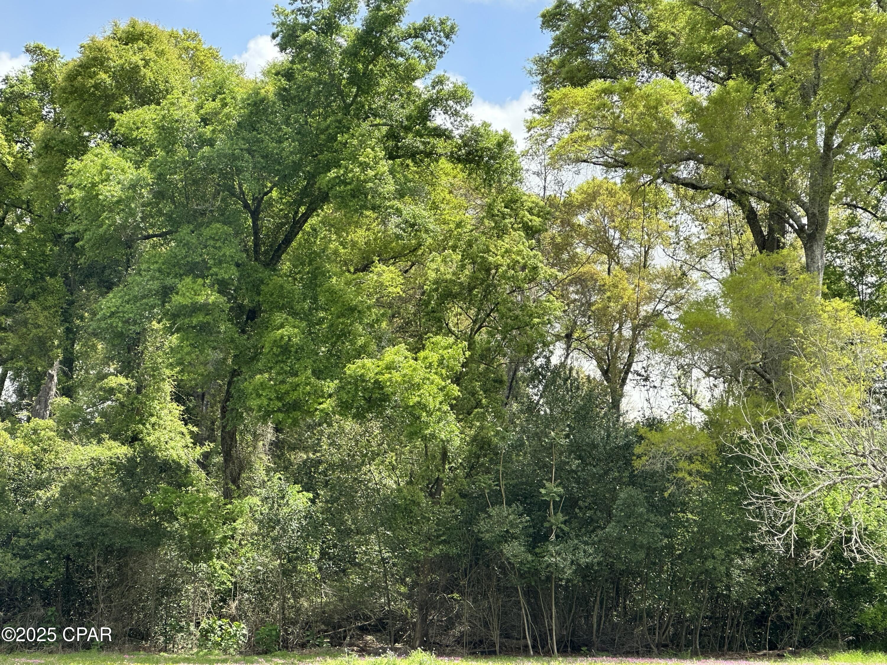 0x4fisad9fyse0tvzs_3v0_4y6vvgkqceubsc6abnti