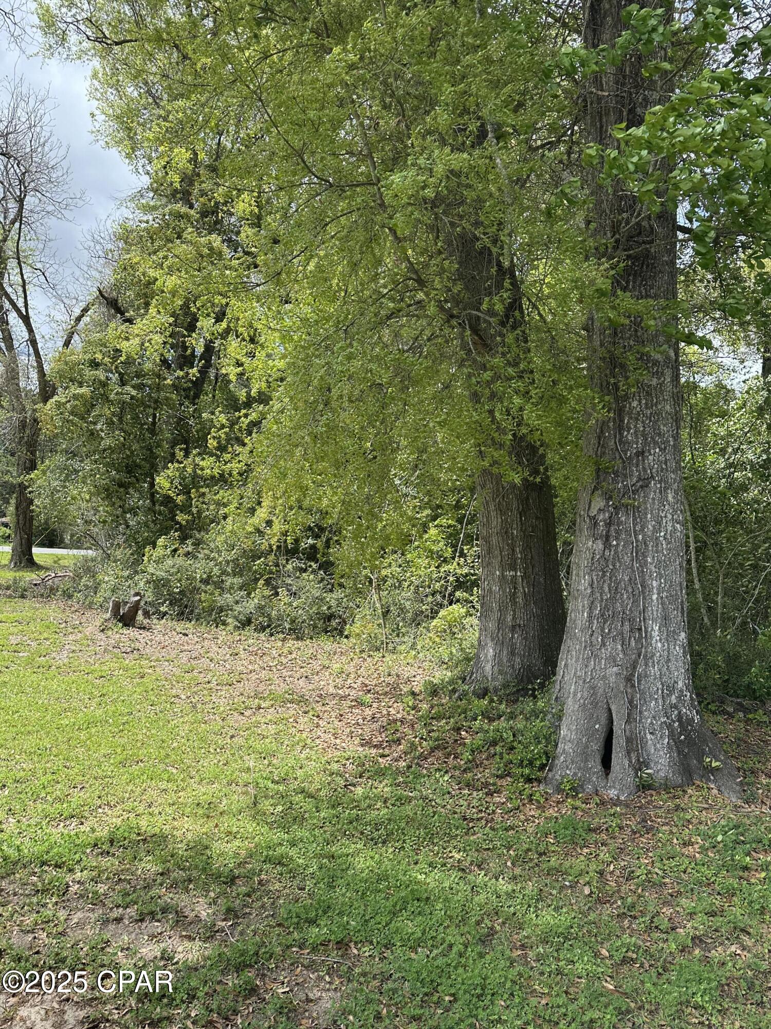 Qg5mdczb2ldbbroearqnc33d1cxyrknz7tmfn7xpaxm