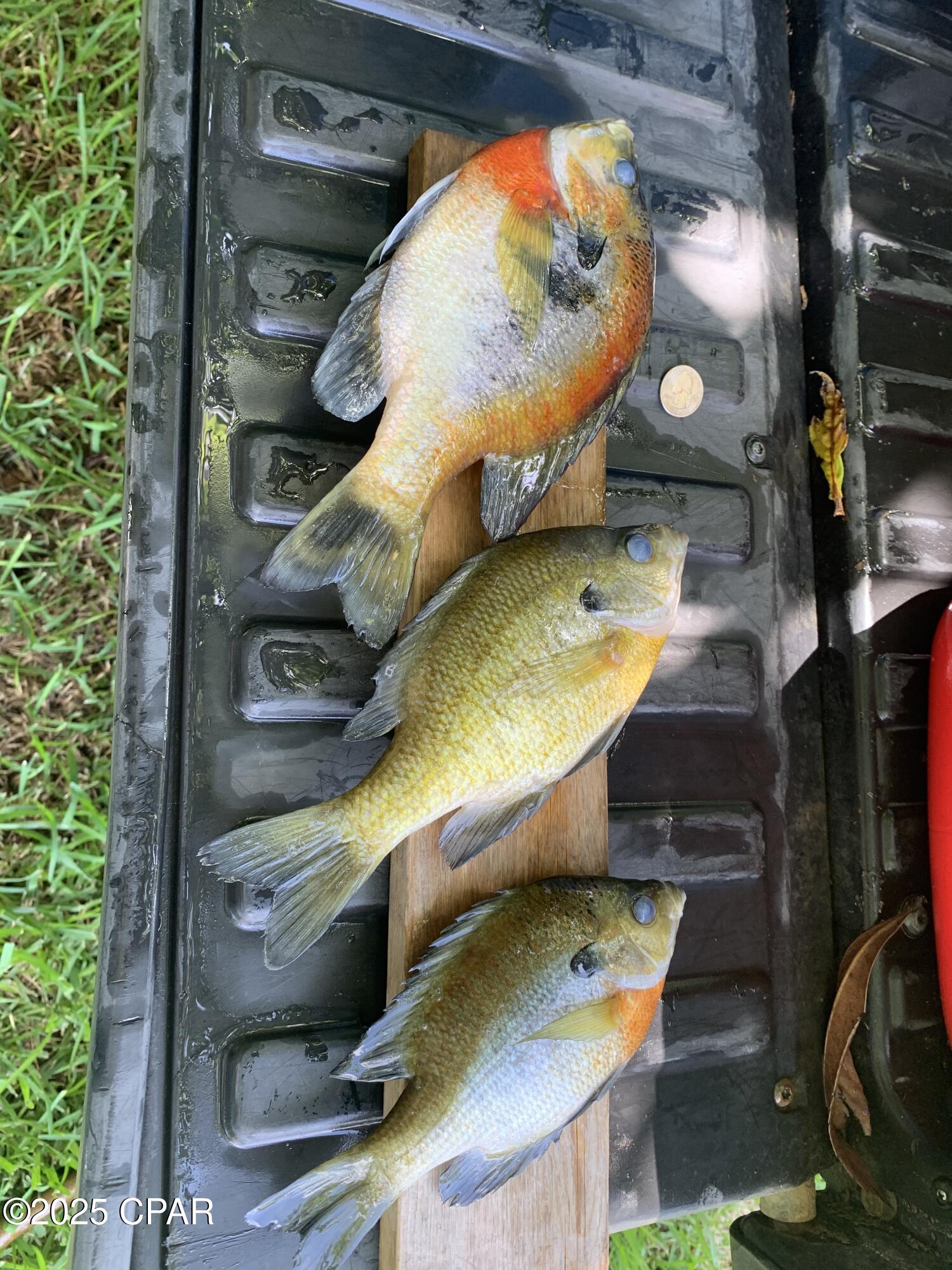 Tbtdk1eiv0i4 Ljvwrwv3dcfgirgec1gmoulcdohdpq