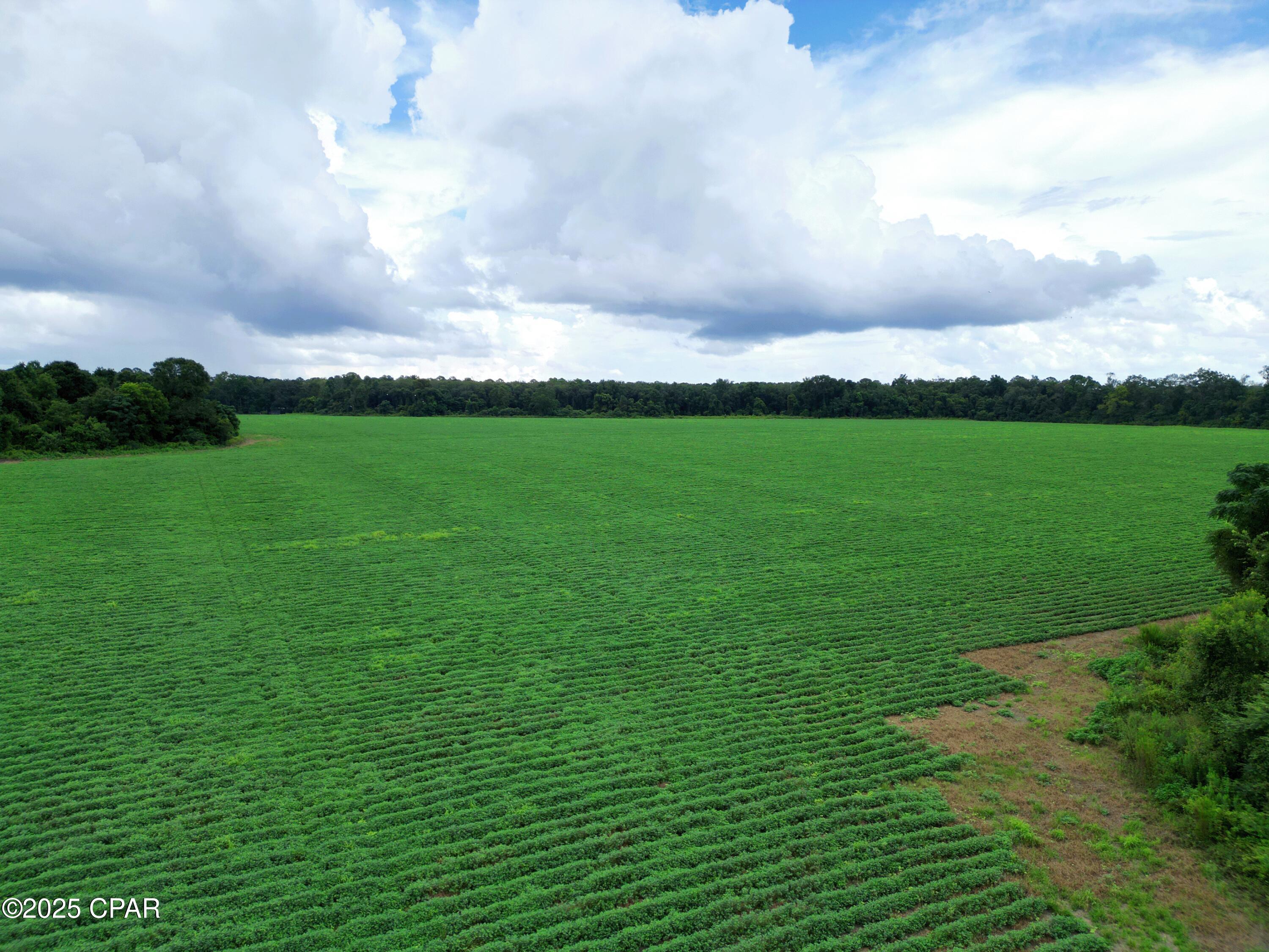 Ol7w7vqvxifu Baj5f2c7jjrqvkdgw61r59d9mc_hn4