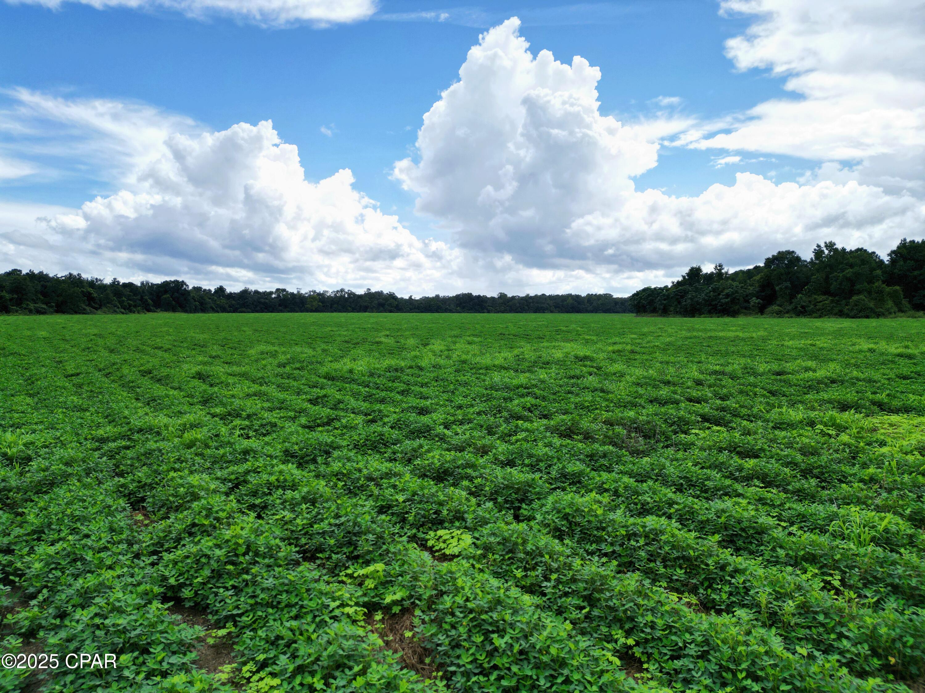 Ahwf8hhyzh6wnpu2vvqymlgnj2uvp1ibppjcbpa5ziy