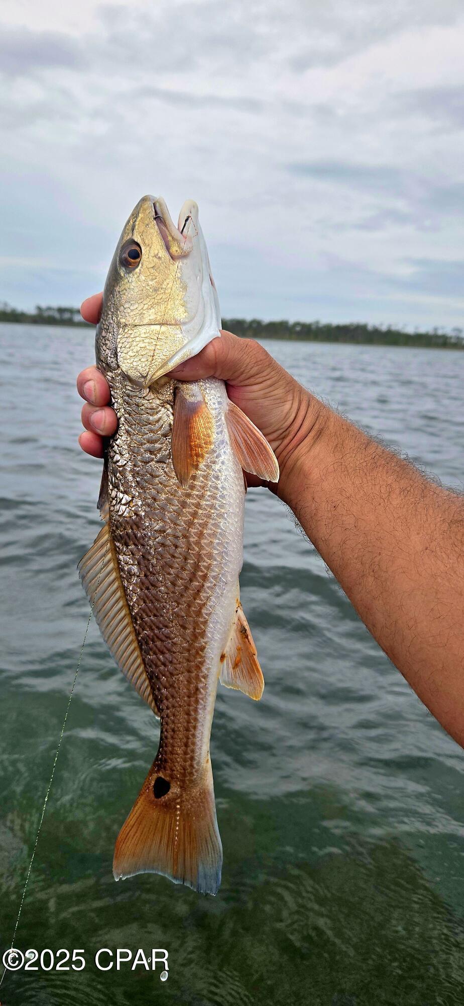 Image 27 For Lot 11 Waters Edge