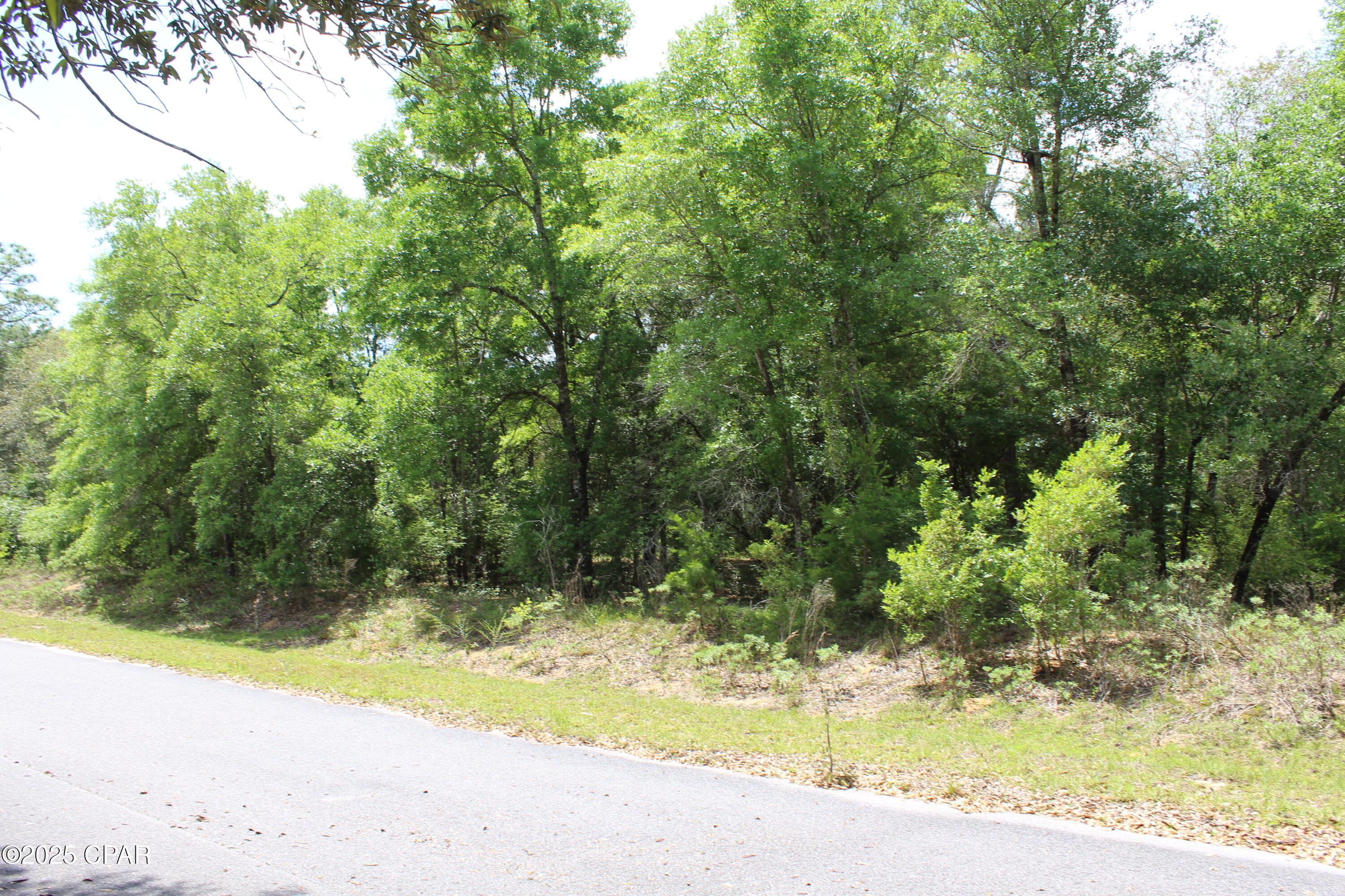 Image 10 For Lot 17 Arnone Lane