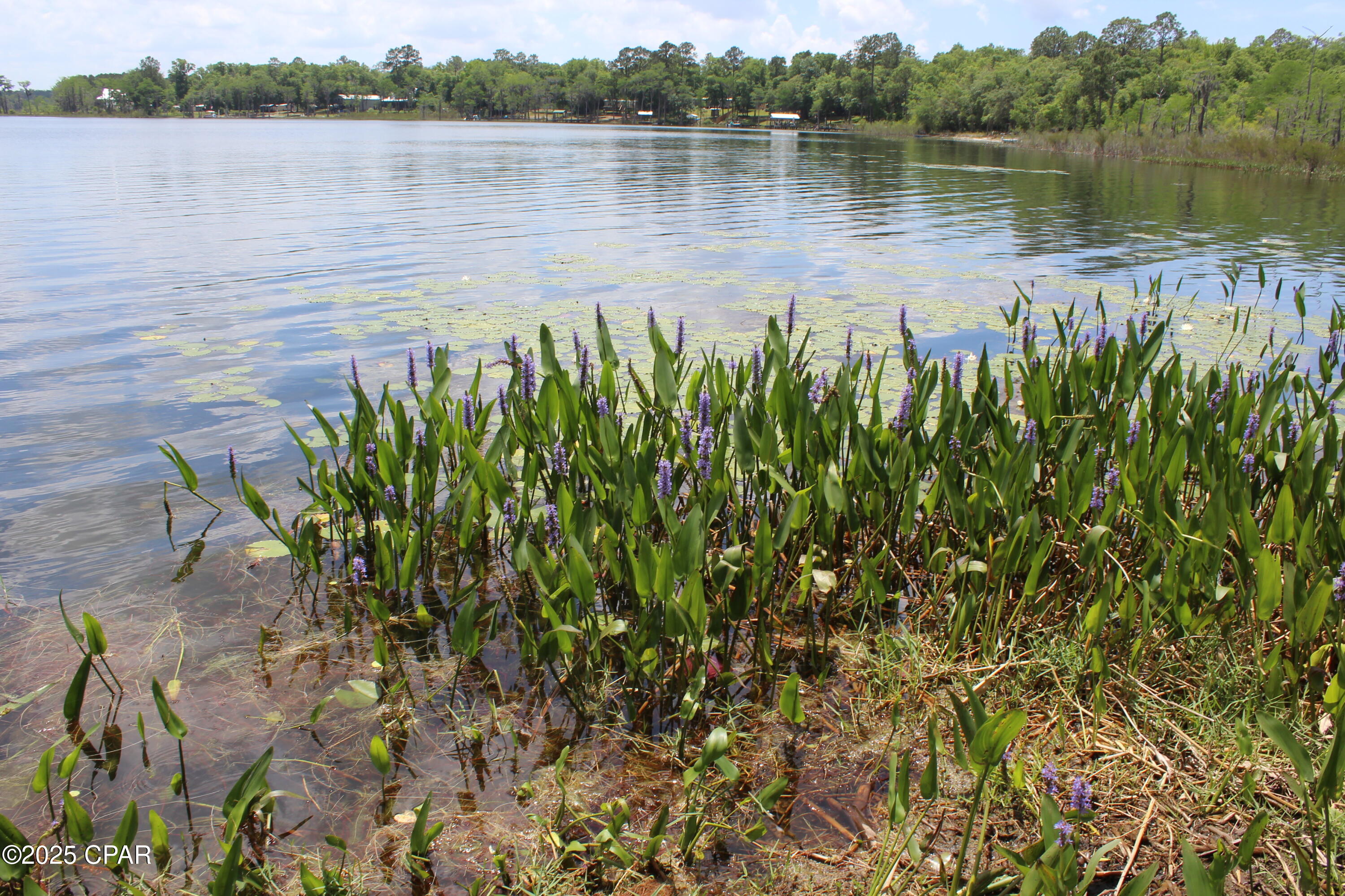 R_zlr9w9ikda8rl2267ourdaja20d9ryhxhkp7v0rhk