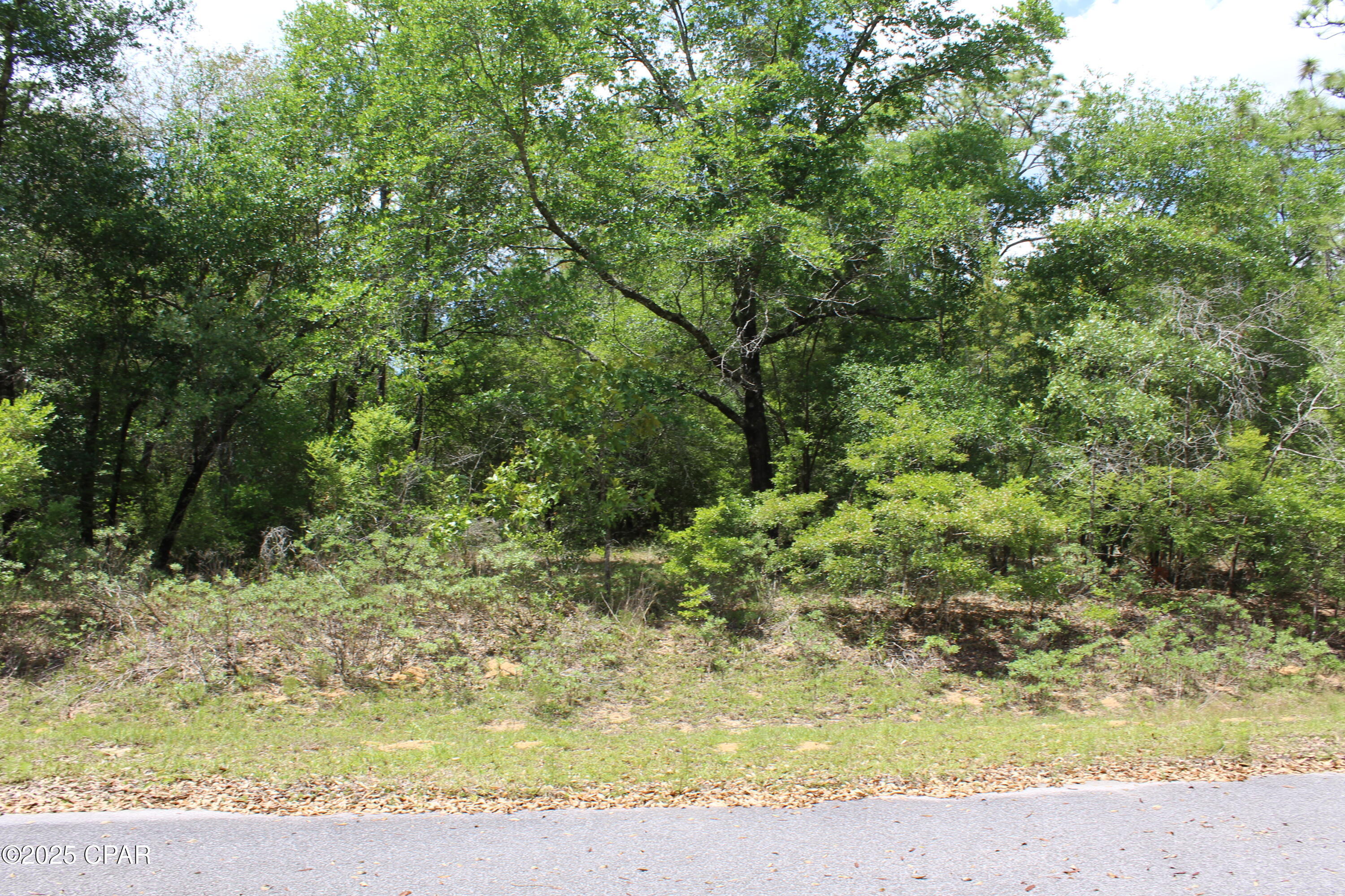 Image 6 For Lot 17 Arnone Lane