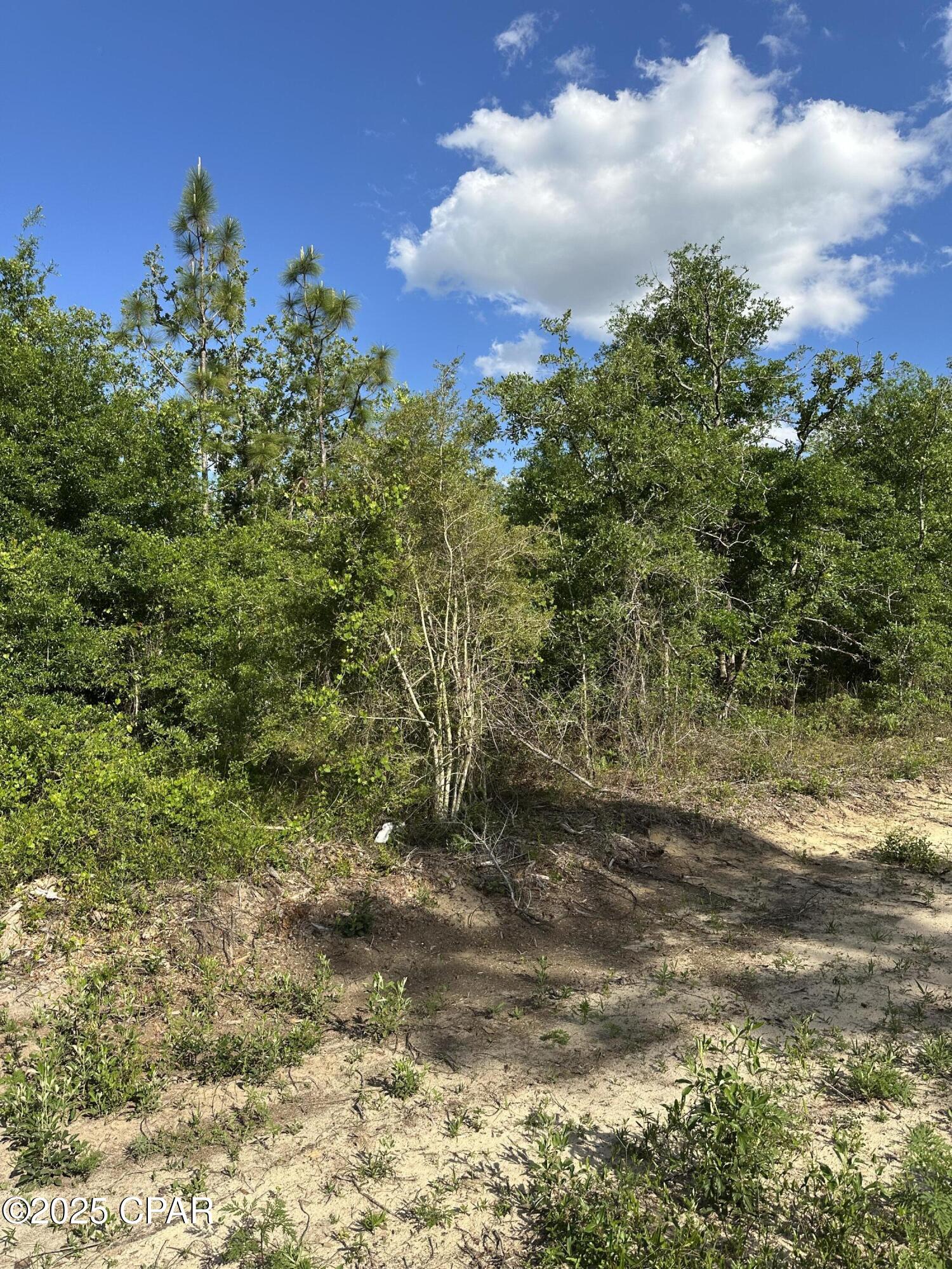 Wsrt P1nprjmvbc Kten2bfbl0yro Jzhfeu  Tkqf8