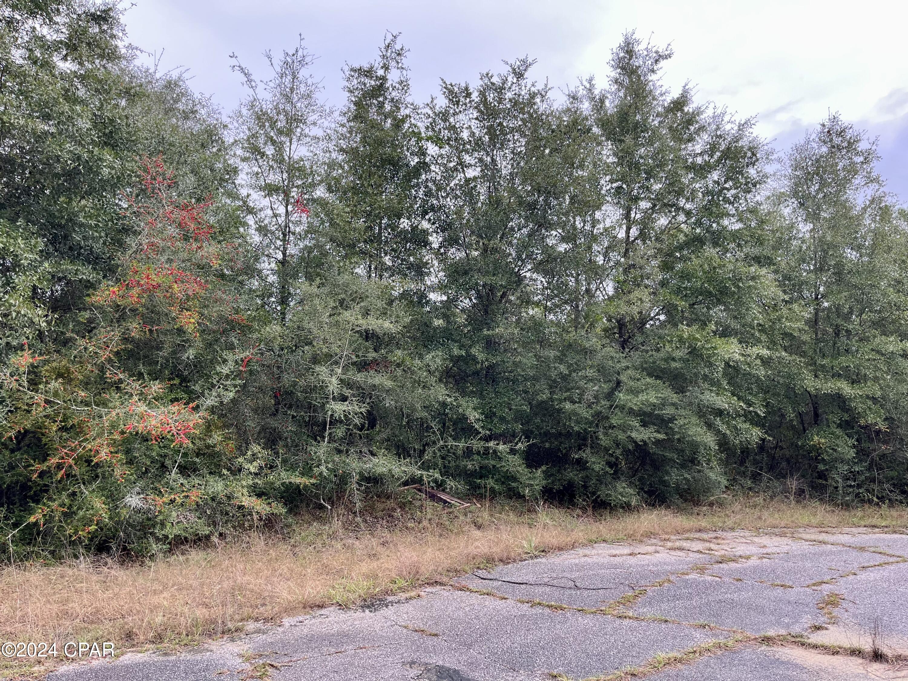 1b6z0lqqpnfkiulmo9dv8qg_c0rt8uptohut0h1e8fs