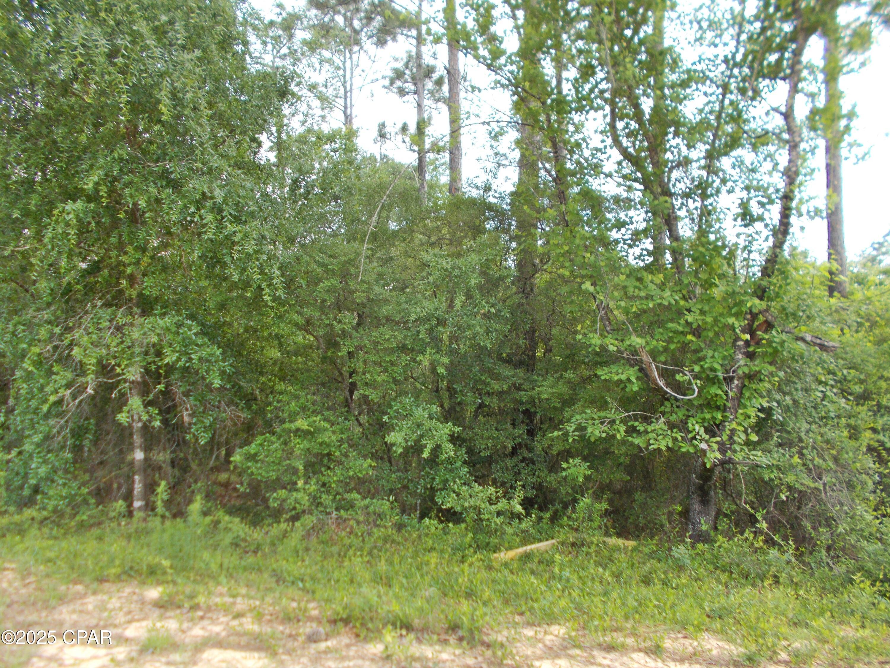 Ebdiu05_sai0jpzcsygnrw5pt0avyuzhegi_rwpg17k