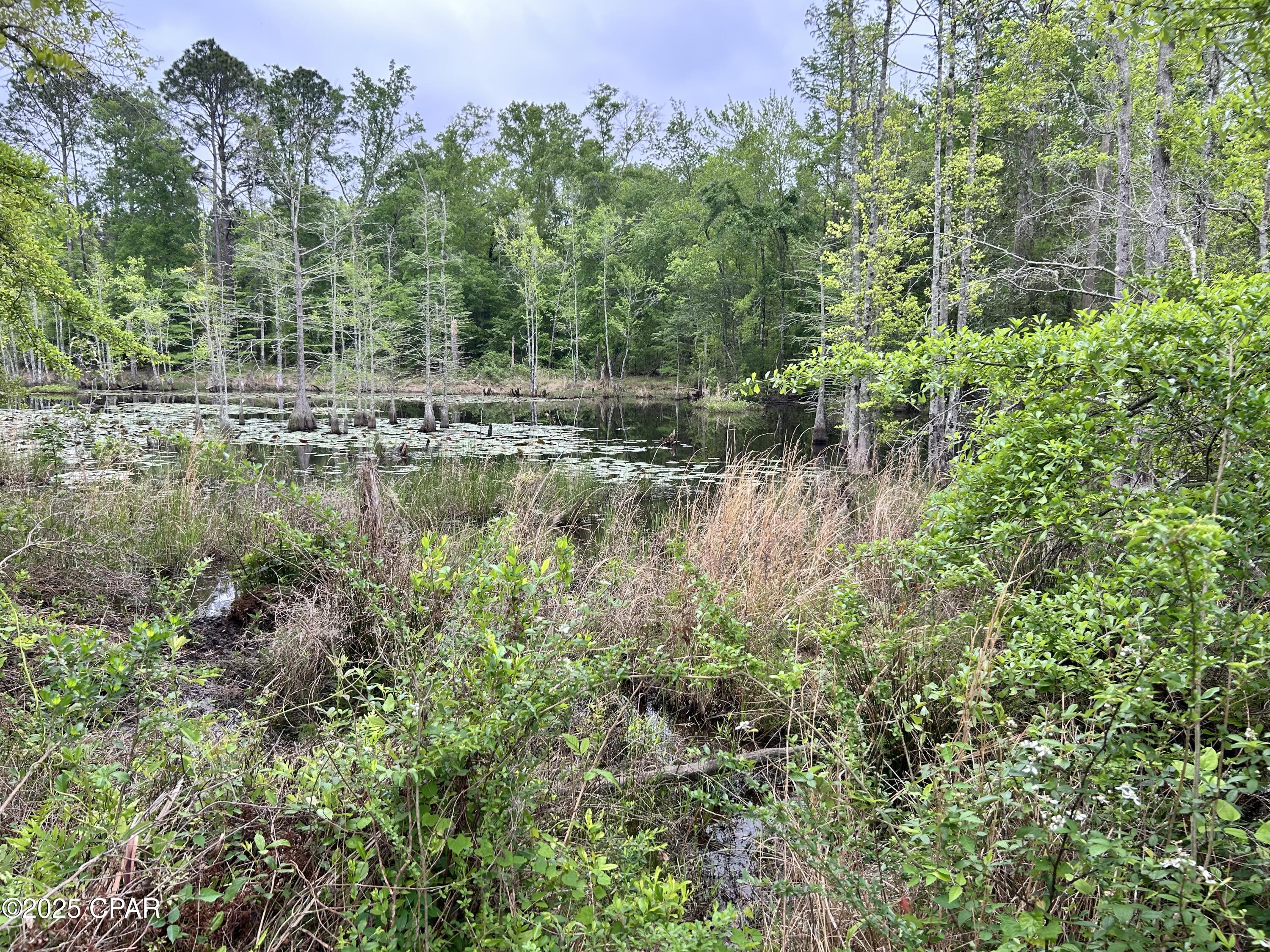 2mfzpcxvuozqrfac5mhehaj4fbr8yavcc8eqcekxtrm