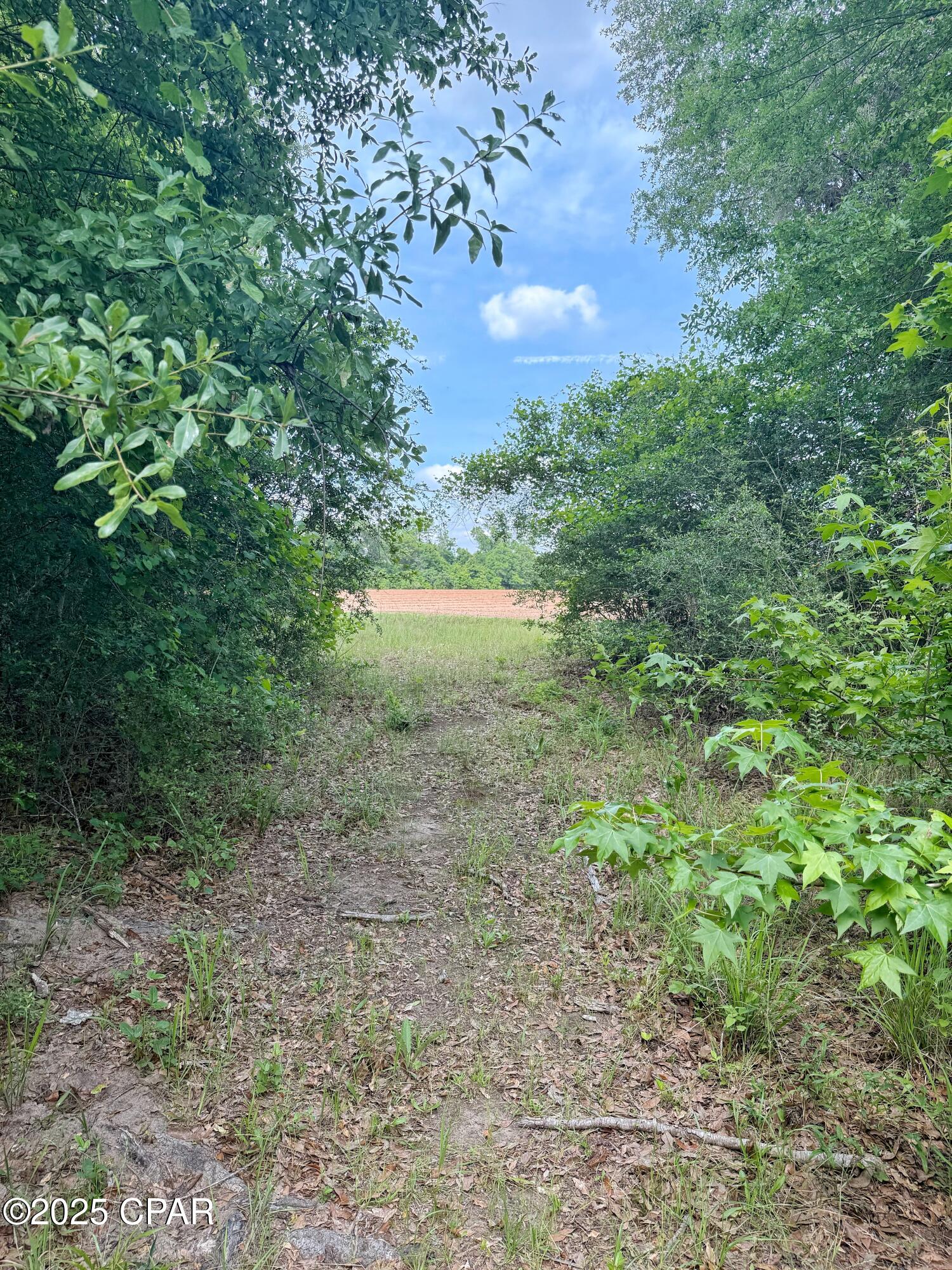 Grctrn6hfrbnlaeyst1_kksowvpx8jxpxsakrcoy2t4