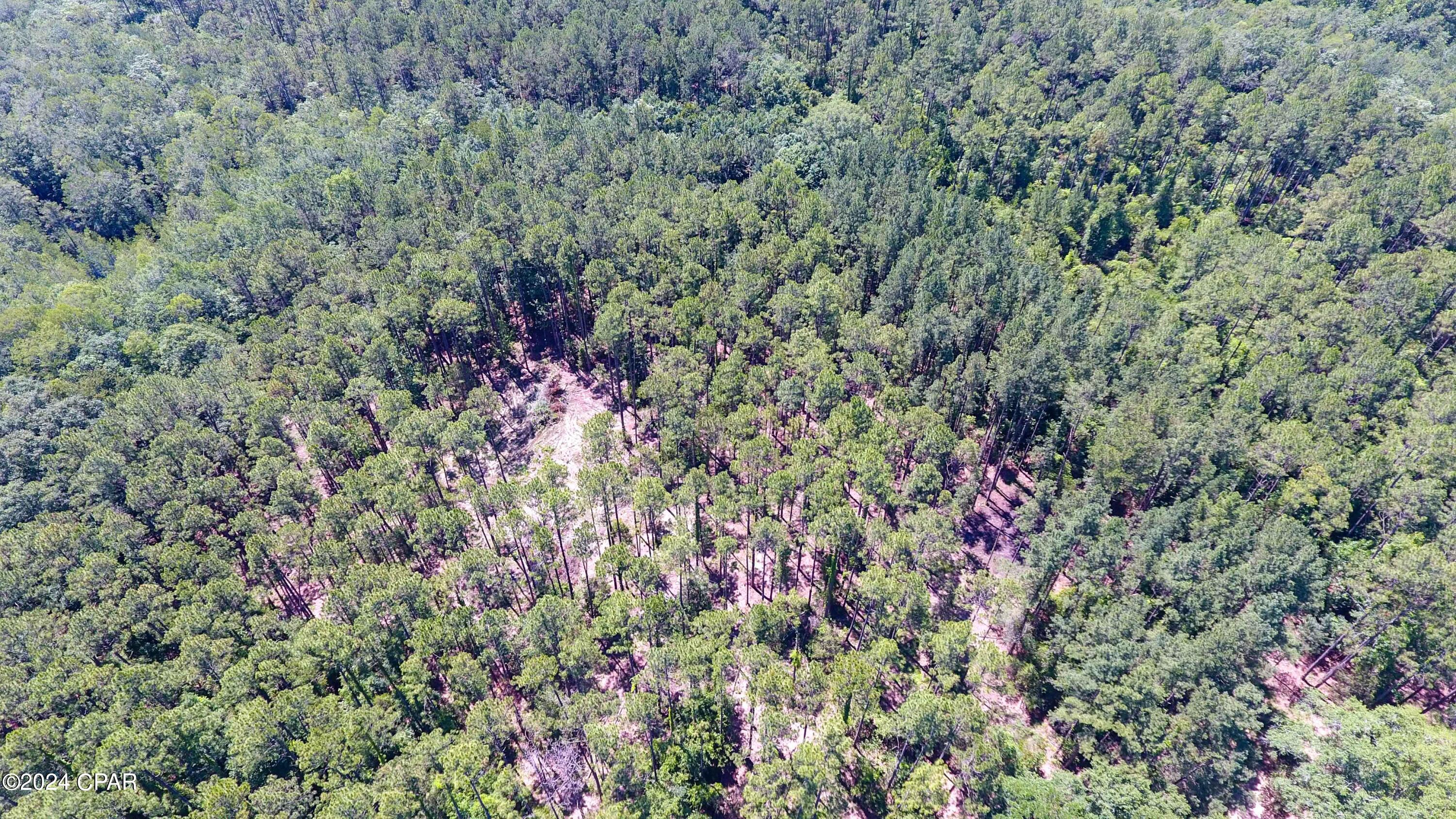 Uc1r4ltik5oct Qejkdo447jo4mhaol7svno2gzodoc